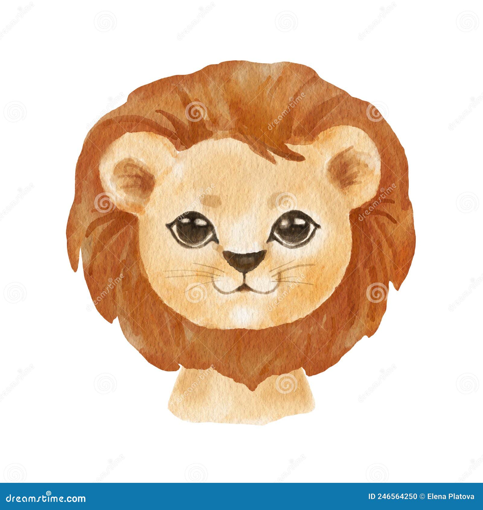 Cute Portrait Lion Head in Cartoon Style. Drawing African Baby Wild Cat Face  Isolated on White Background Stock Illustration - Illustration of africa,  drawing: 246564250