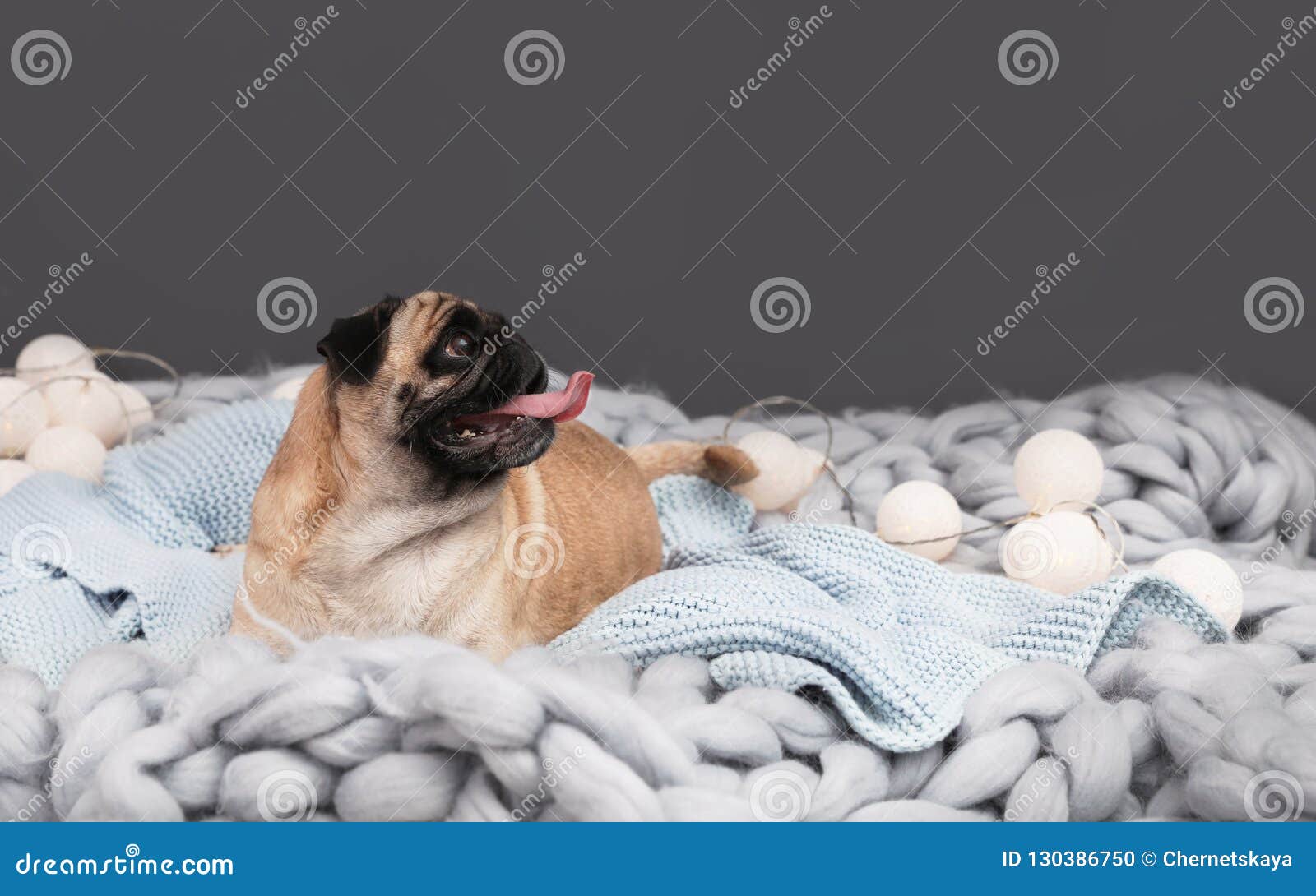 pug blankets
