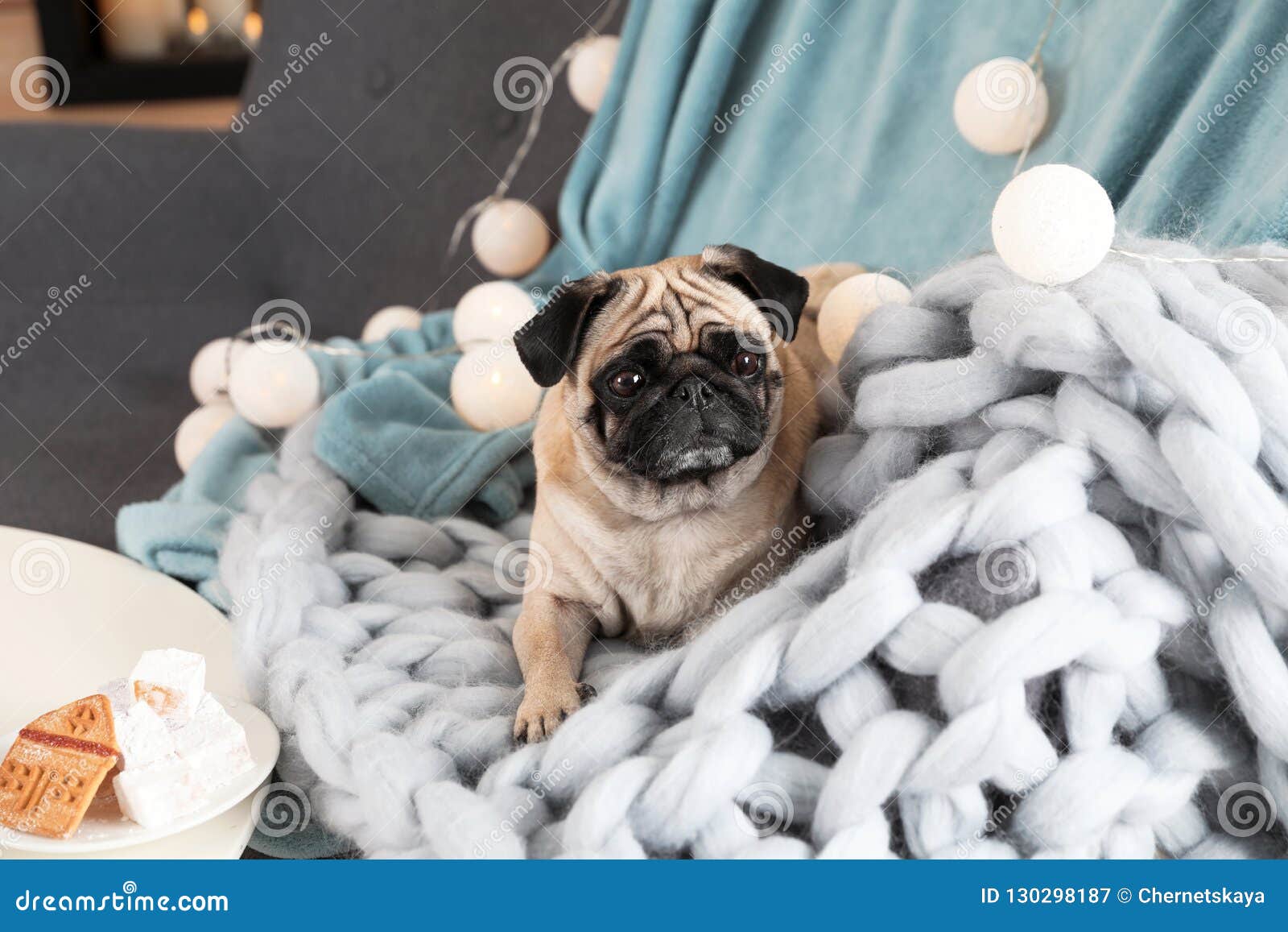 pug blankets