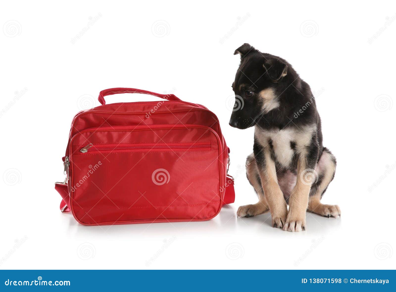 Cute Puppy With First Aid Kit On White Stock Photo Image