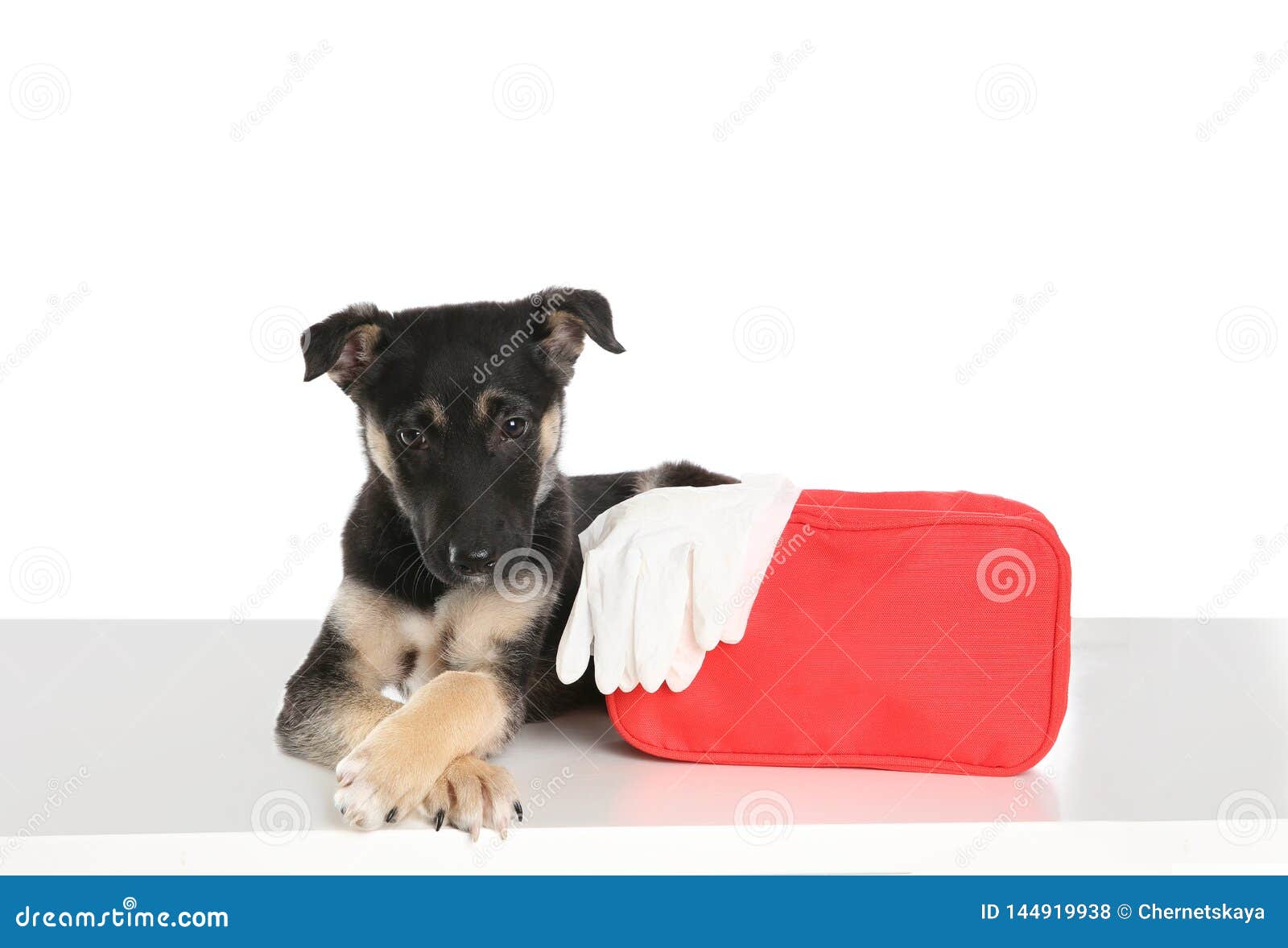 Cute Puppy With First Aid Kit On White Stock Photo Image