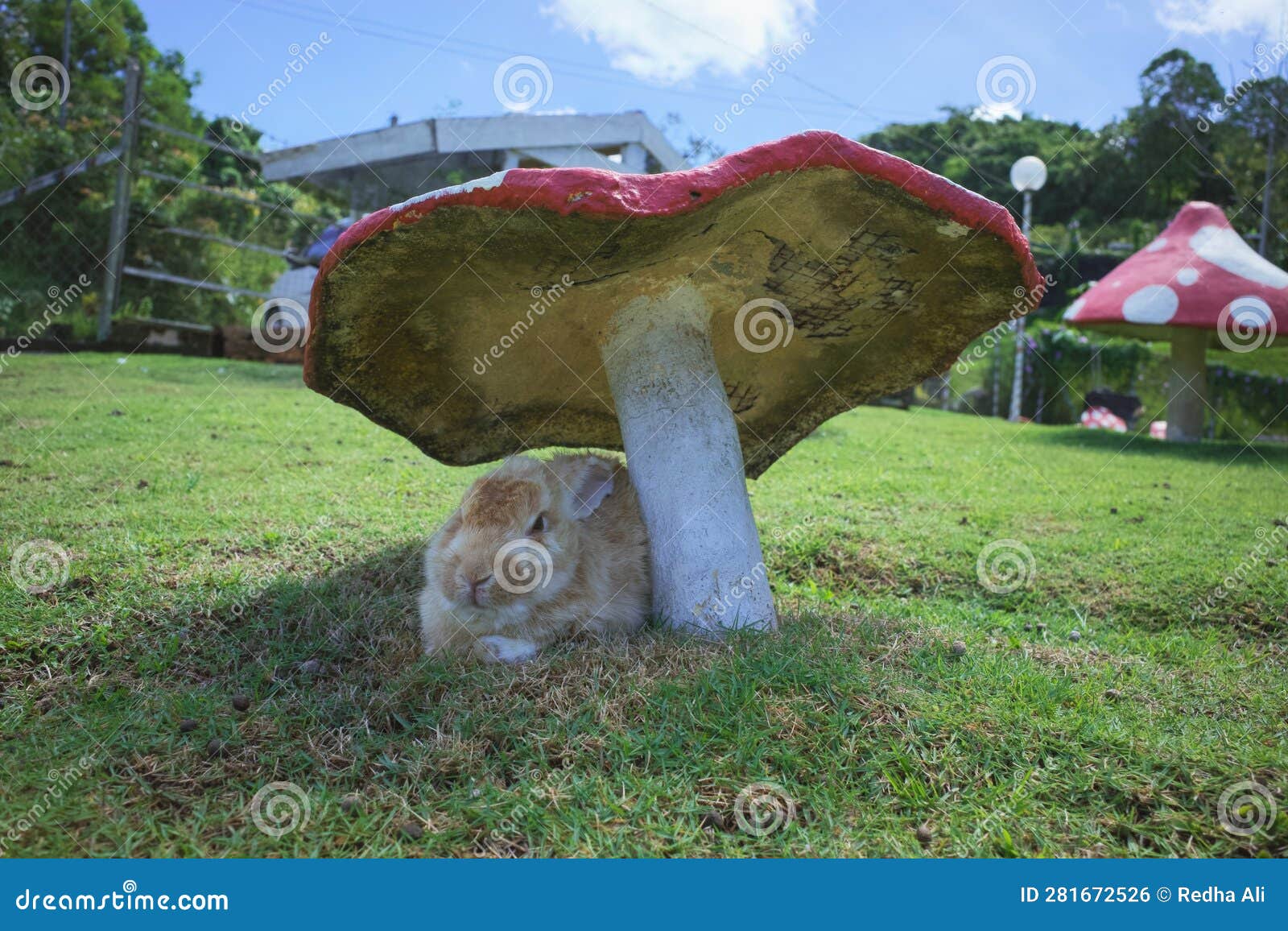 Cute Rabbit Sitting Below the Miniature Mushroom Stock Photo Image of