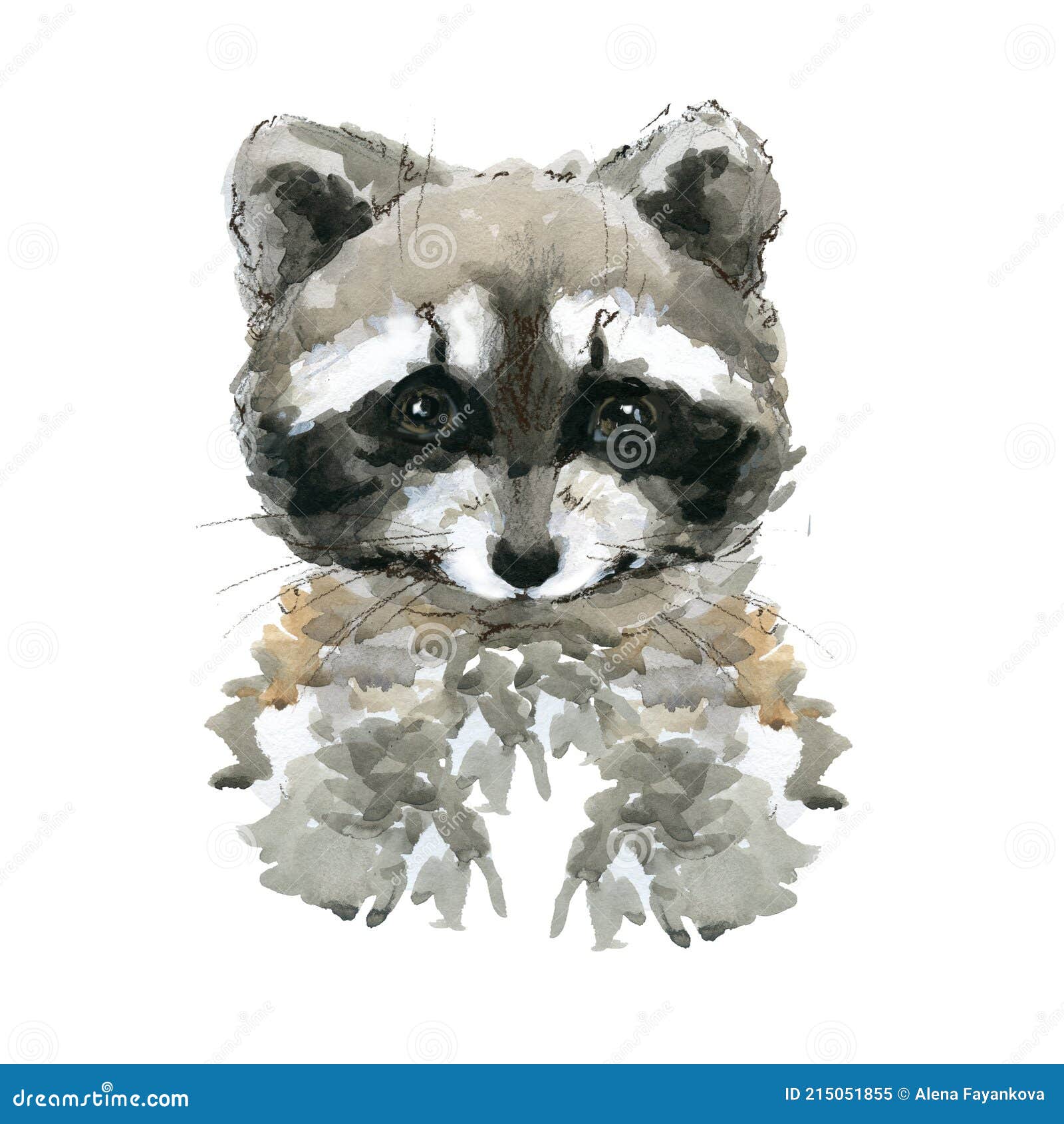 cute raccon watercolor  jpeg, png. wild baby animals series