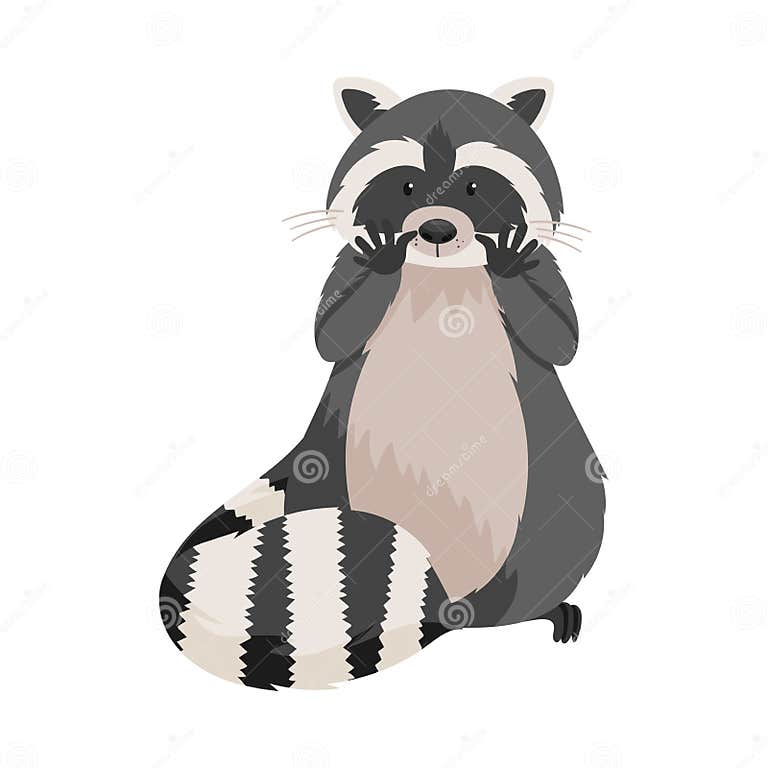 Cute Raccoon Animal Standing on Hind Legs with Raised Paws Vector