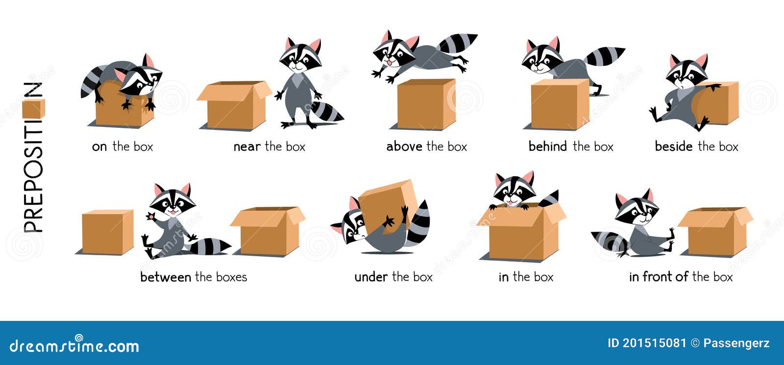 Preposition of Place Set. Raccoon and the Box Stock Vector - Illustration  of preschool, racoon: 201515081