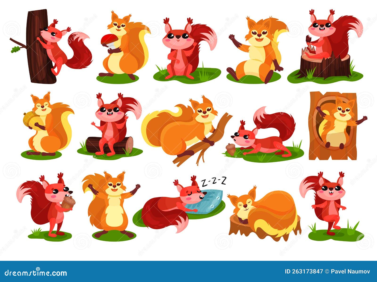 cute red squirrel as fluffy forest creature with bushy tail engaged in different activity big  set