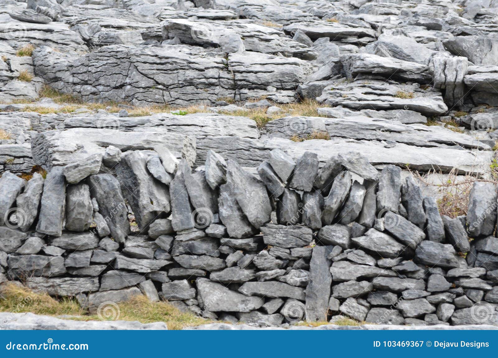 cute rock wall in the burren national park