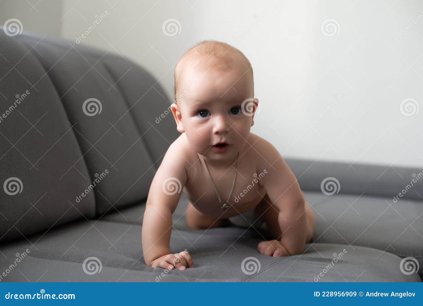 Cute Smiling Baby on a Gray Couch Stock Image Image of bright, chubby