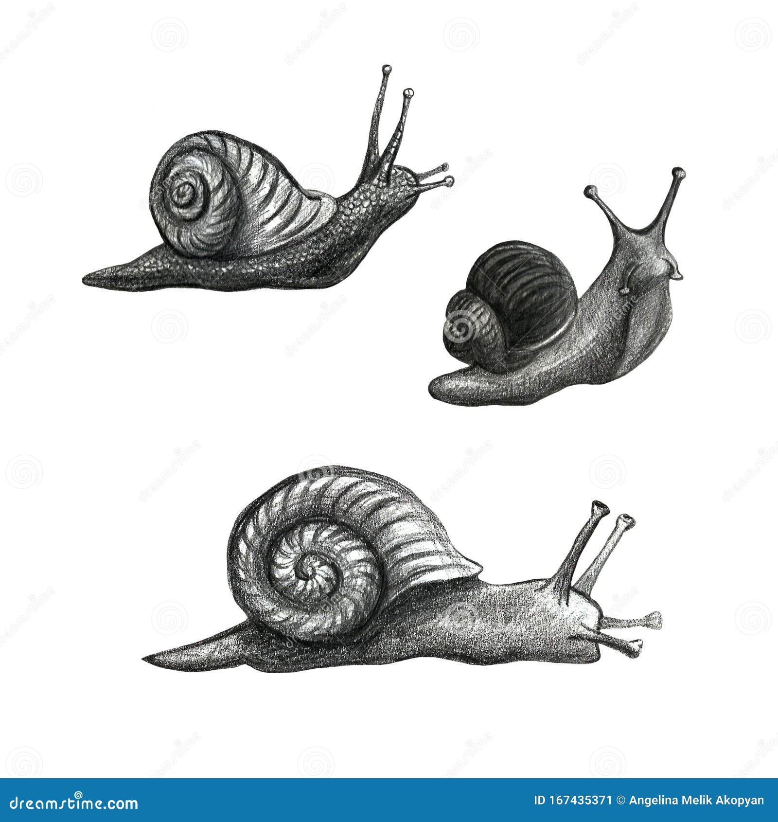 Cute Snail Cartoon Pattern of Funny Ethnic Drawings. Drawing by Hand, Pencil Stock Illustration - Illustration of creative, cute: 167435371 Cute Snail Cartoon Pattern of Funny Ethnic Drawings. Drawing by Hand, Pencil Stock Illustration - Illustration of creative, cute: 167435371