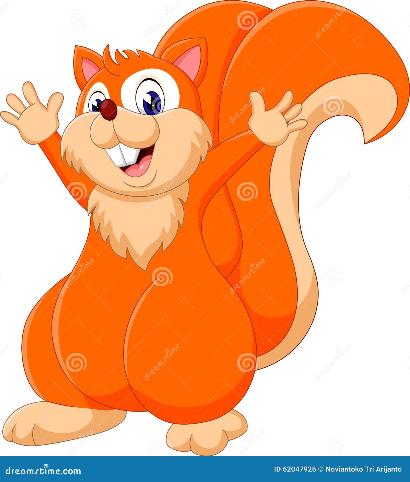 Cute squirrel stock vector. Illustration of tail, autumn - 62047926