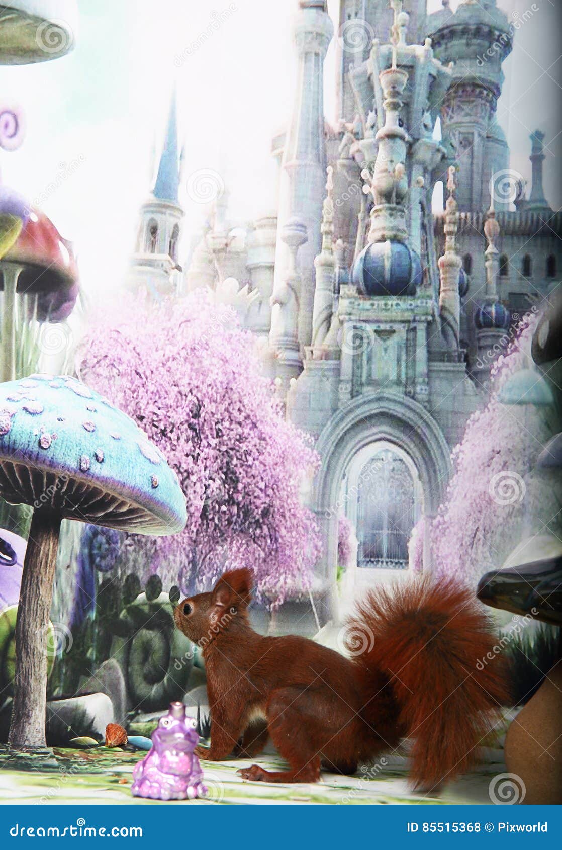 Cute Squirrel stock photo. Image of sleigh, hungry, baby 85515368