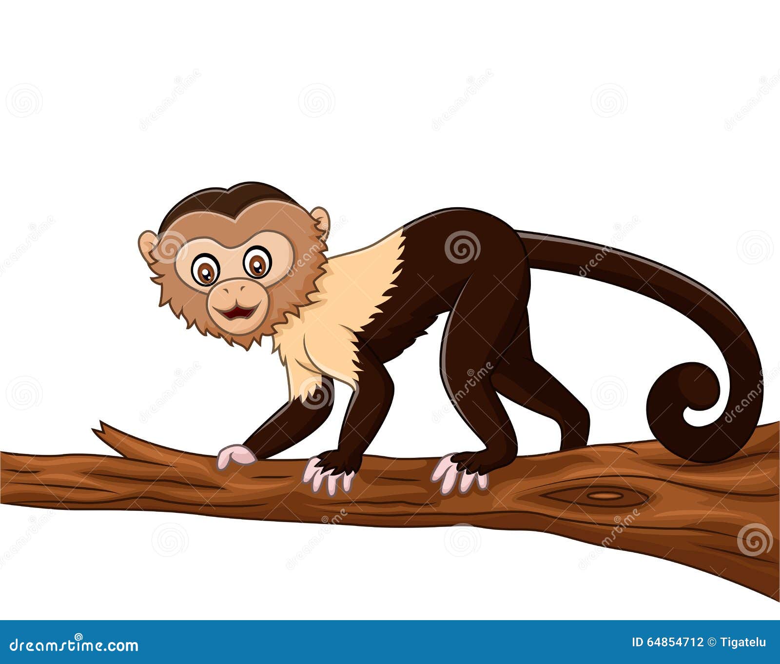 Cute Squirrel Monkey Isolated on White Background Stock Vector