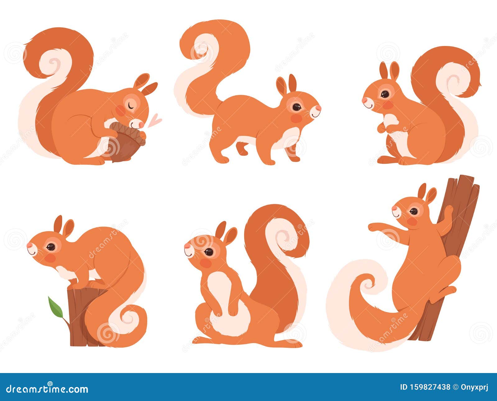 Cute Squirrel. Zoo Little Forest Animals in Action Poses Wildlife Squirrel Vector Cartoon Character Stock Vector - Illustration of adorable, forest: 159827438 Cute Squirrel. Zoo Little Forest Animals in Action Poses Wildlife Squirrel Vector Cartoon Character Stock Vector - Illustration of adorable, forest: 159827438