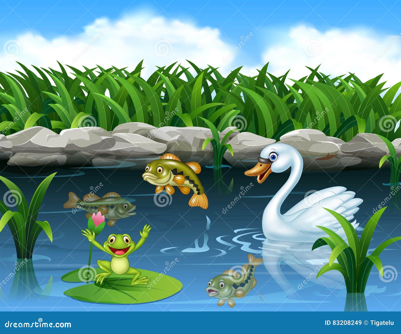 Cute Swan Swimming on the Pond and Frog Stock Vector - Illustration of