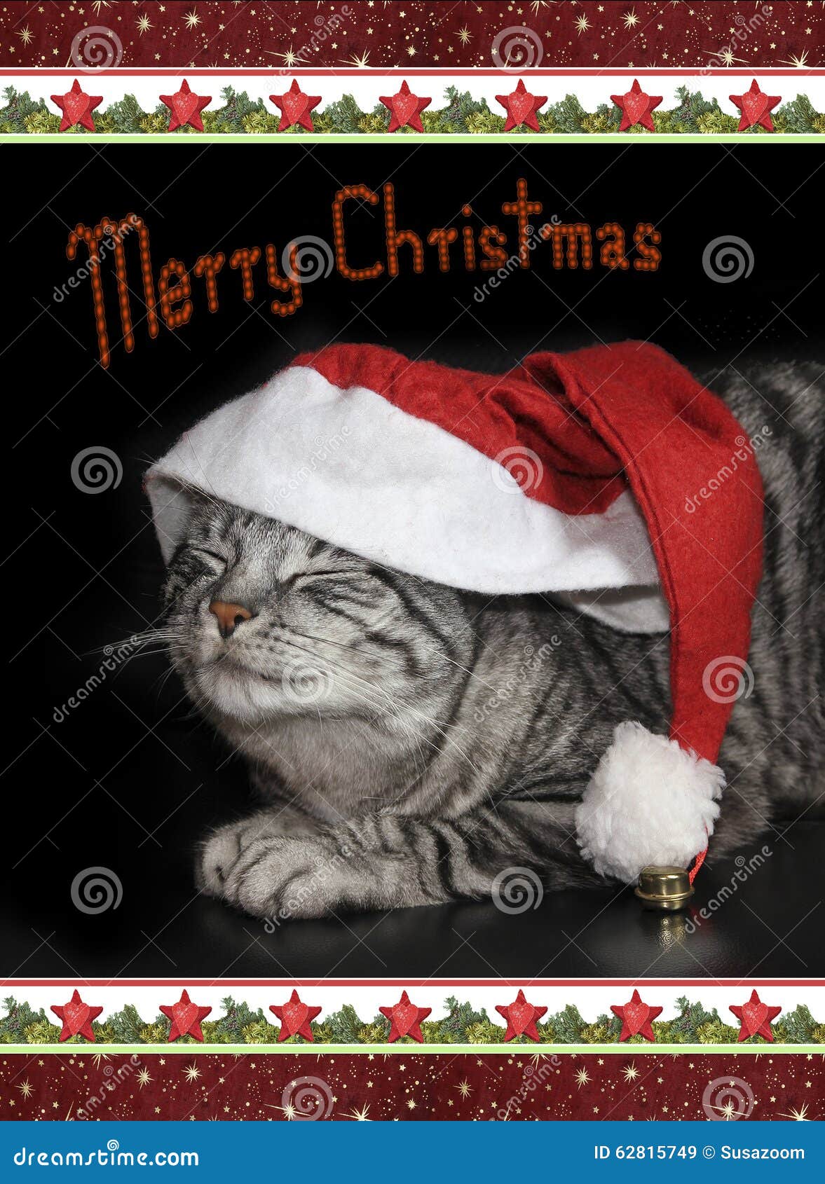 cute tabby cat with saint nicholas cap, christmassy border, card