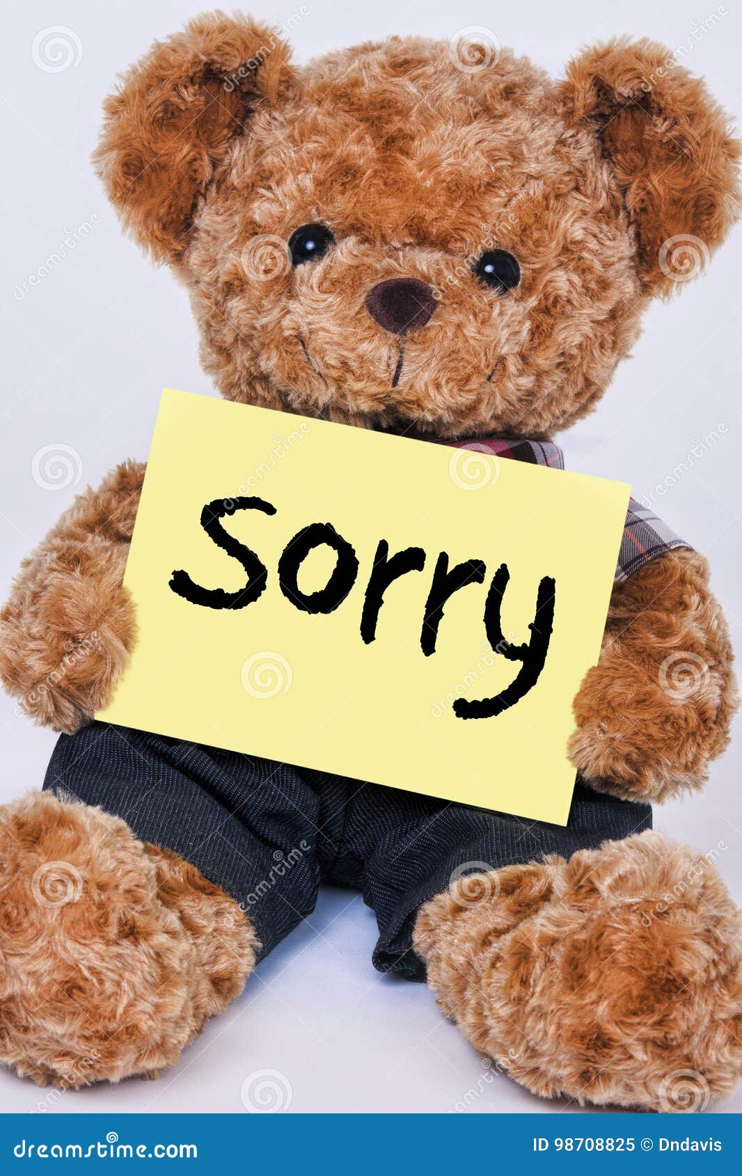 Cute Teddy Bear Holding a Yellow Sign that Says Sorry Stock Image ...