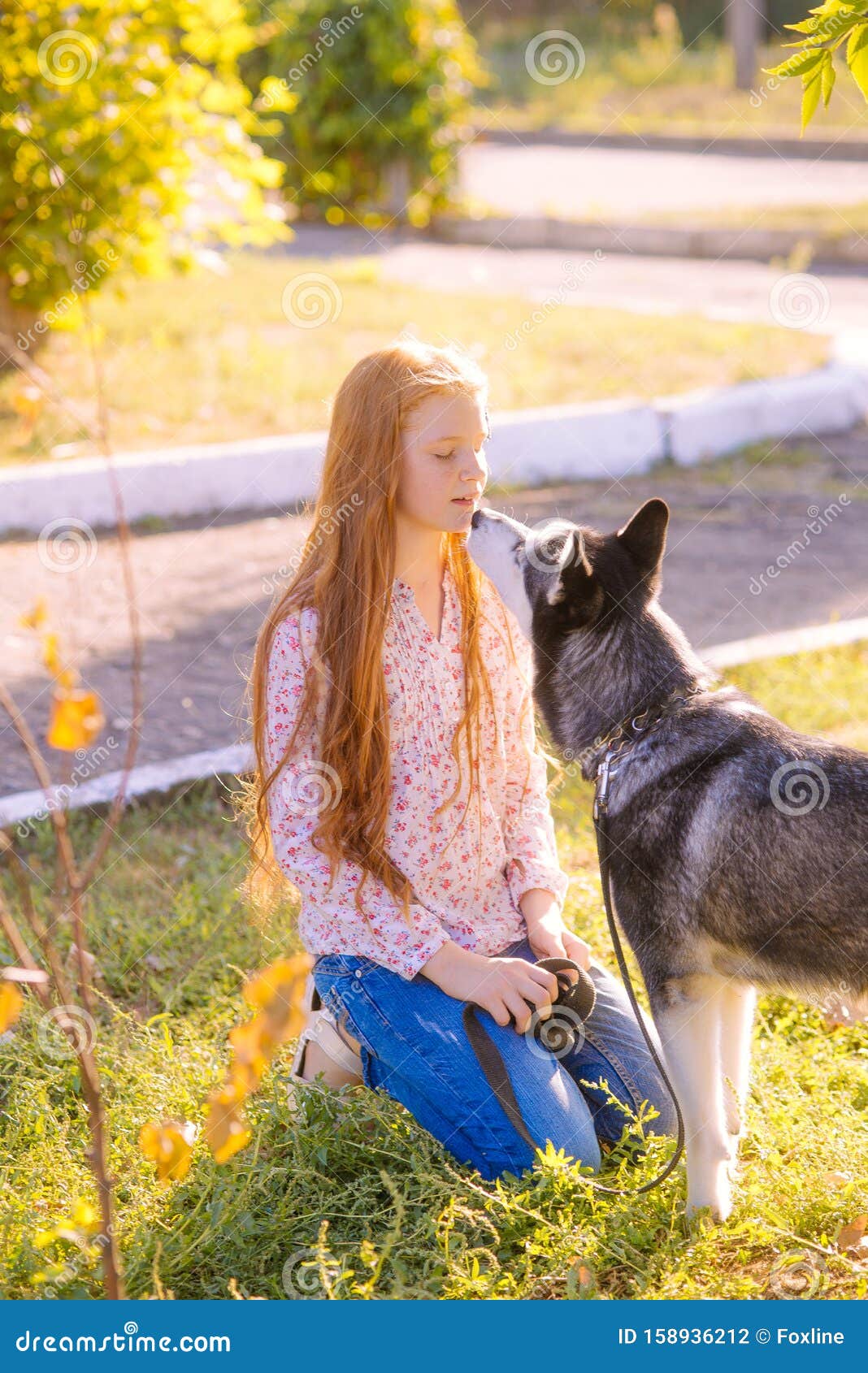 Cute Teen Girl With Red Long Hair Walks With Her Husky Breed