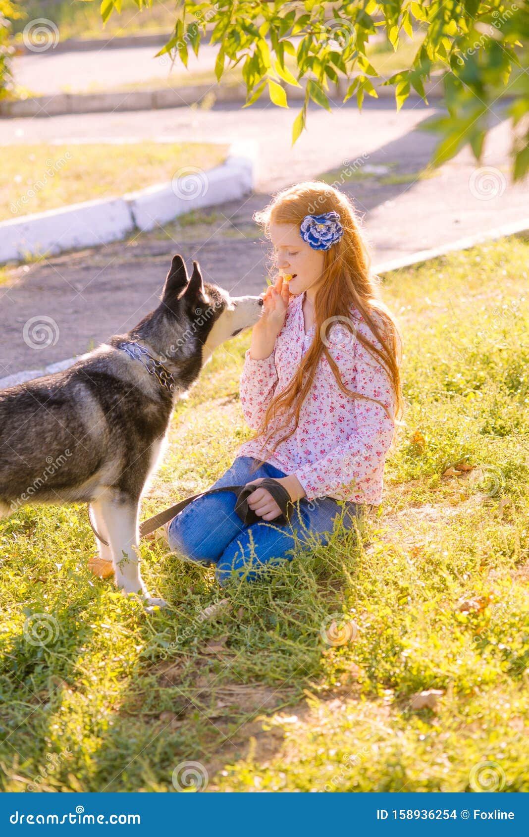 adult story girl force bred with dogs adult story girl force bred with dogs