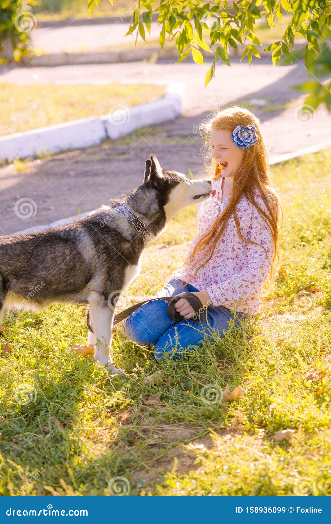 adult story girl force bred with dogs adult story girl force bred with dogs