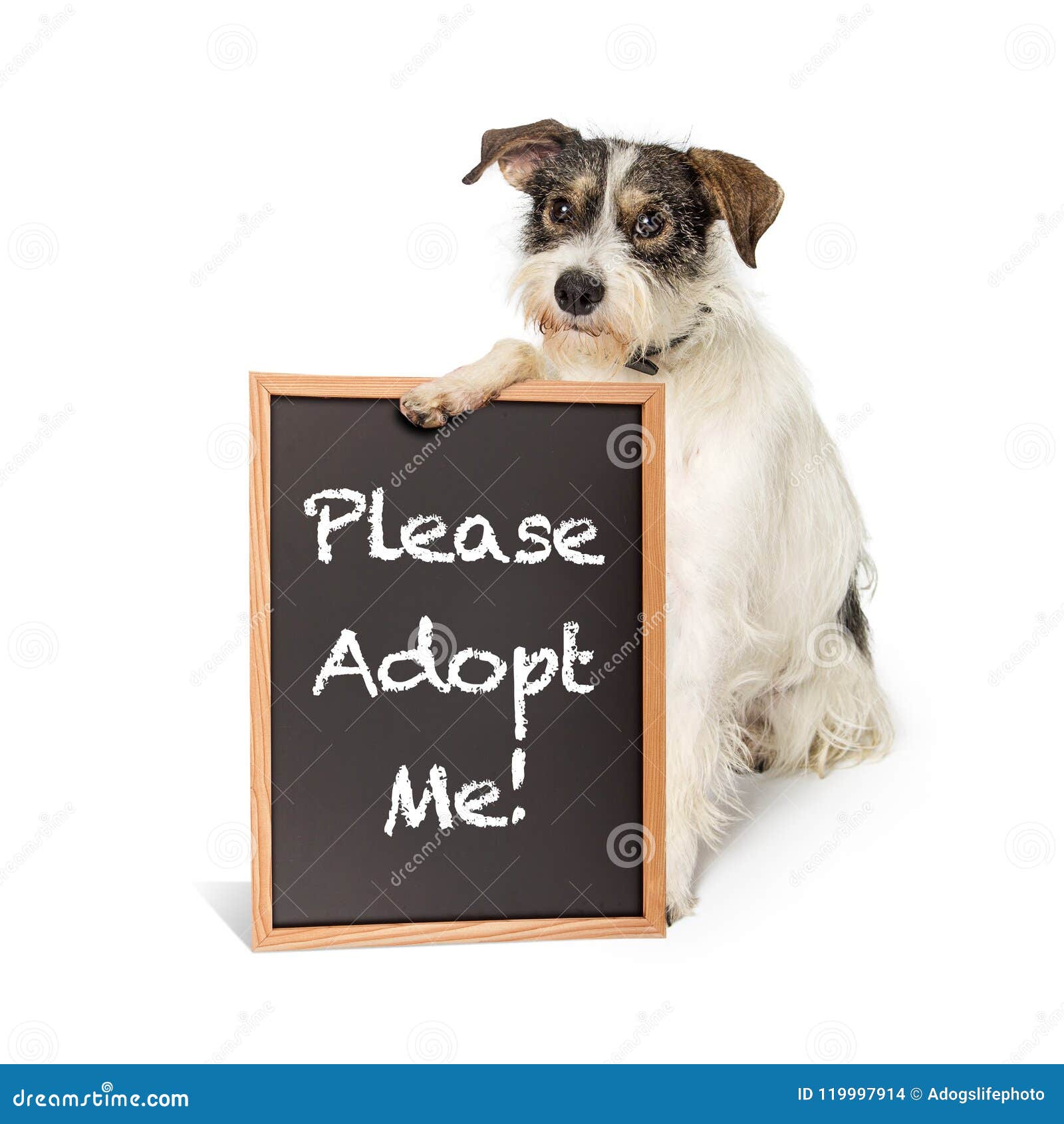 Adopt Me Cute Dog Sign Stock Vector (Royalty Free) 71763850