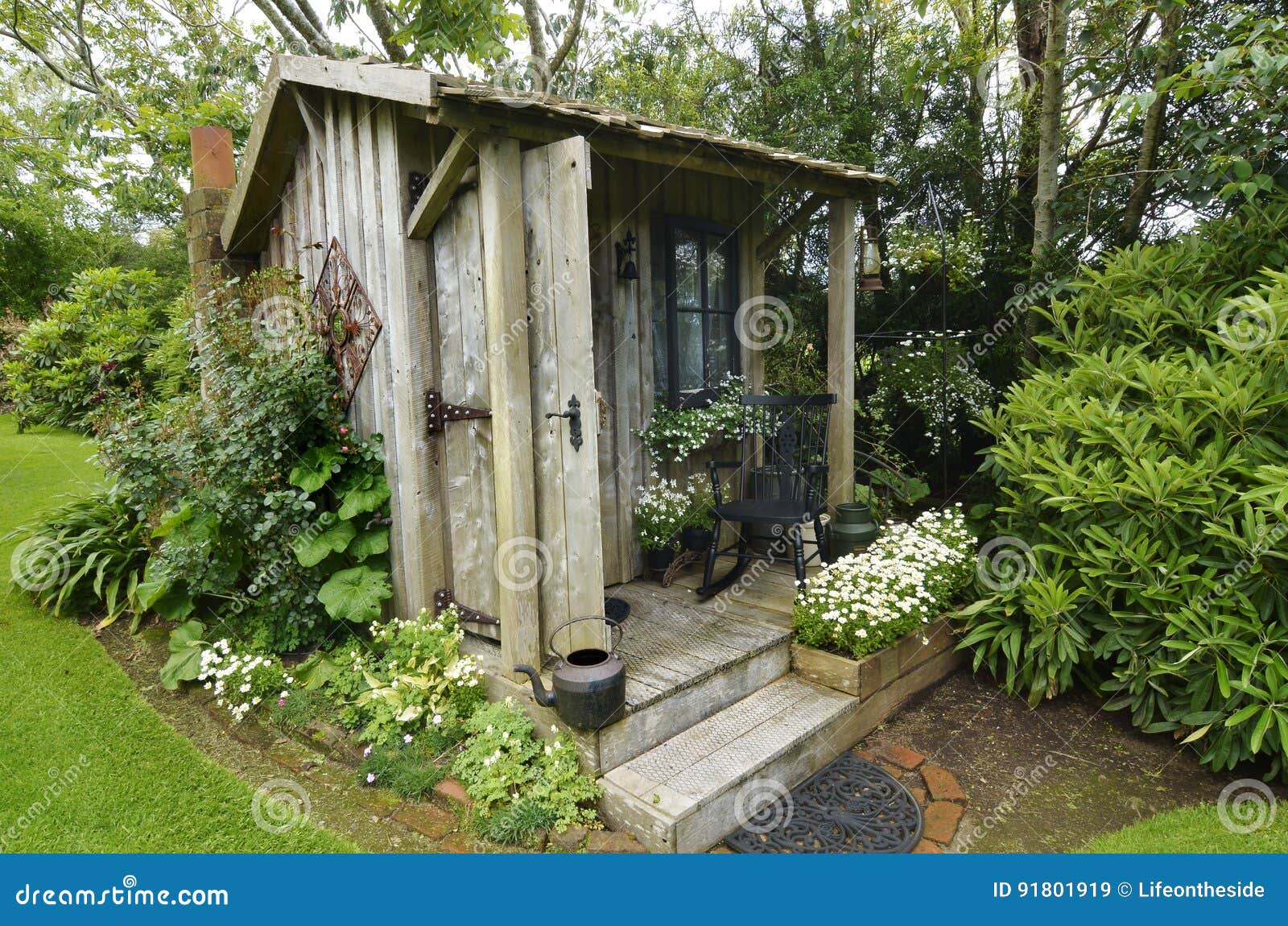 cute tiny timber antique shack sitting in stunning flower garden