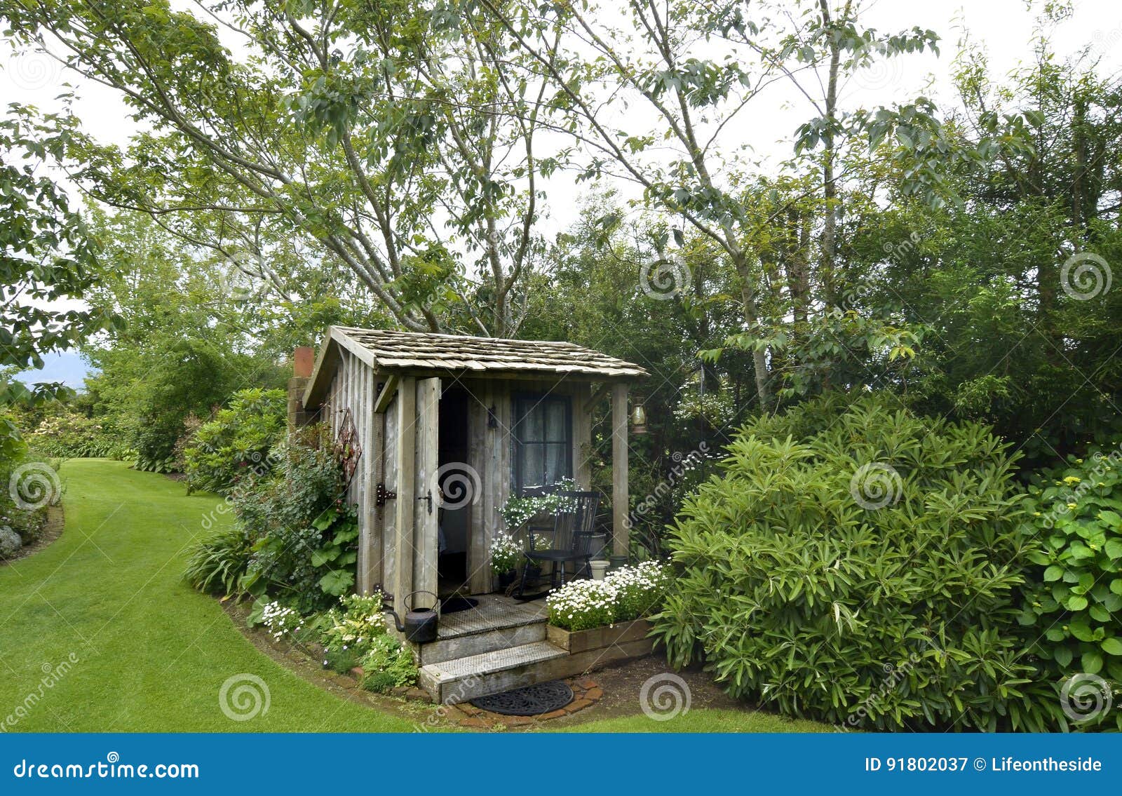 cute tiny timber antique shack sitting in stunning flower garden