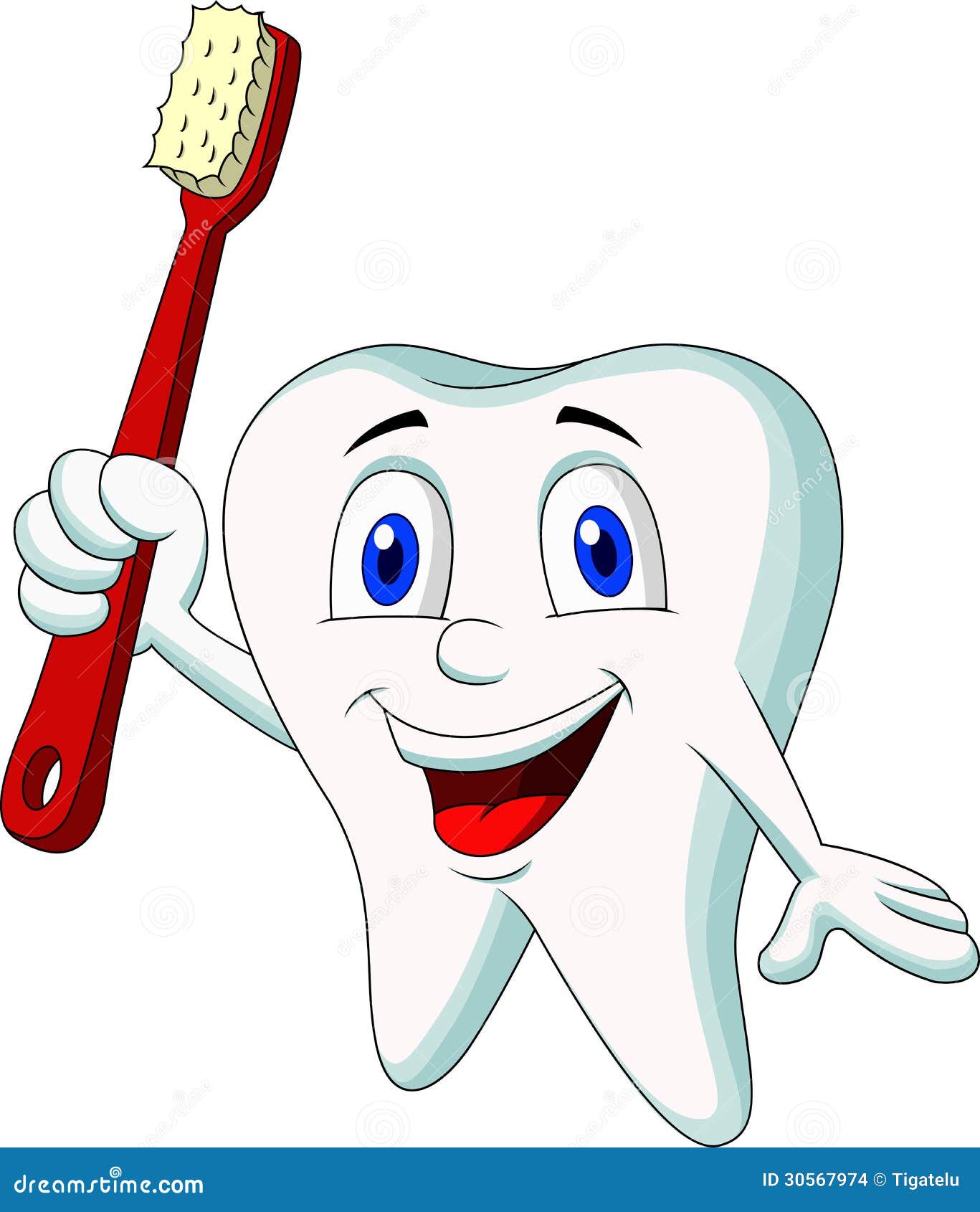 Cute Tooth Cartoon Holding Tooth Brush Stock Images 