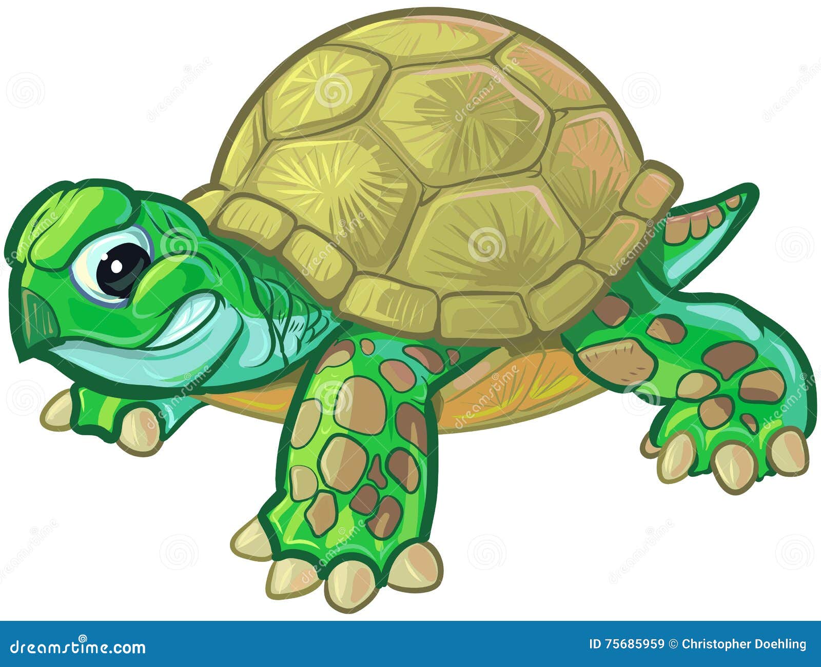 girl turtle clipart - photo #49