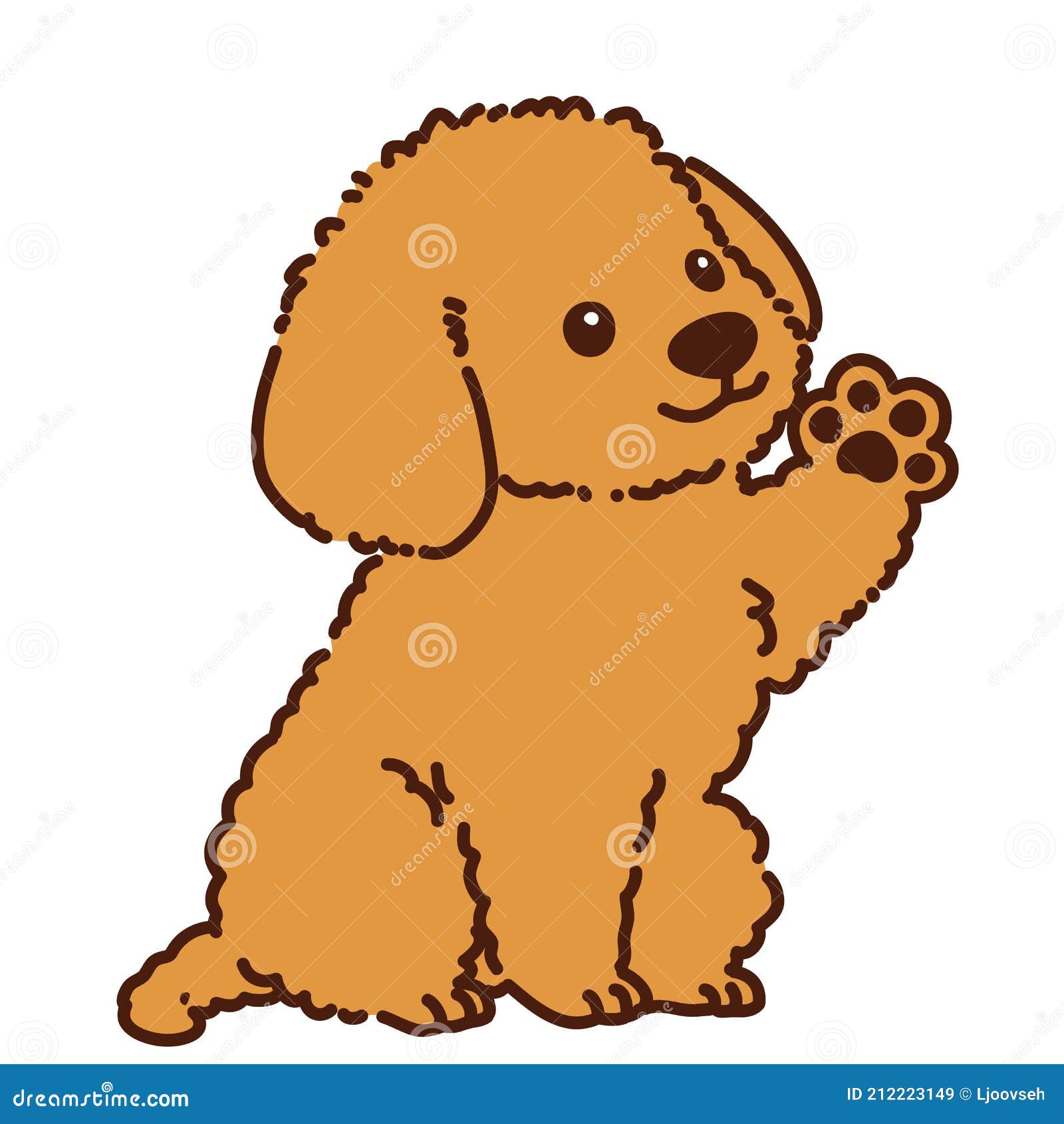 cute toy poodle