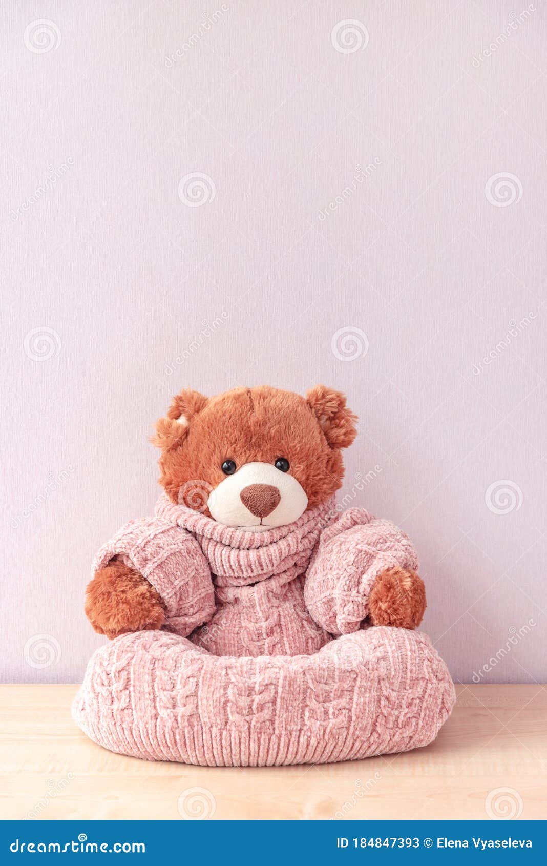 cozy bear toy