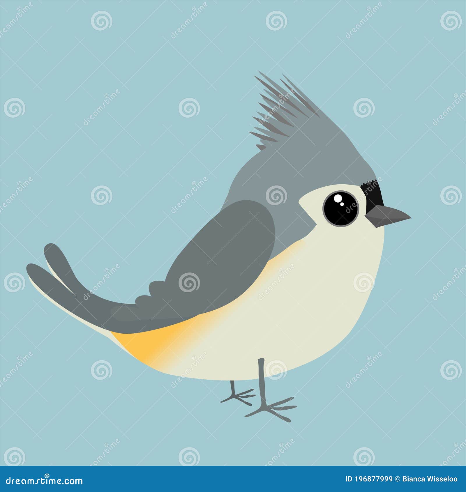 Gray and white tufted titmouse bird transparent background PNG clipart   HiClipart