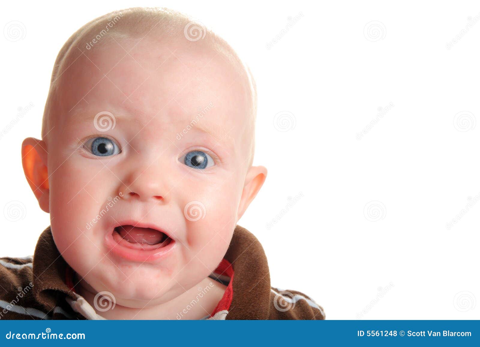 Surprised Baby Newborn Baby Portrait With Funny Shocked Face