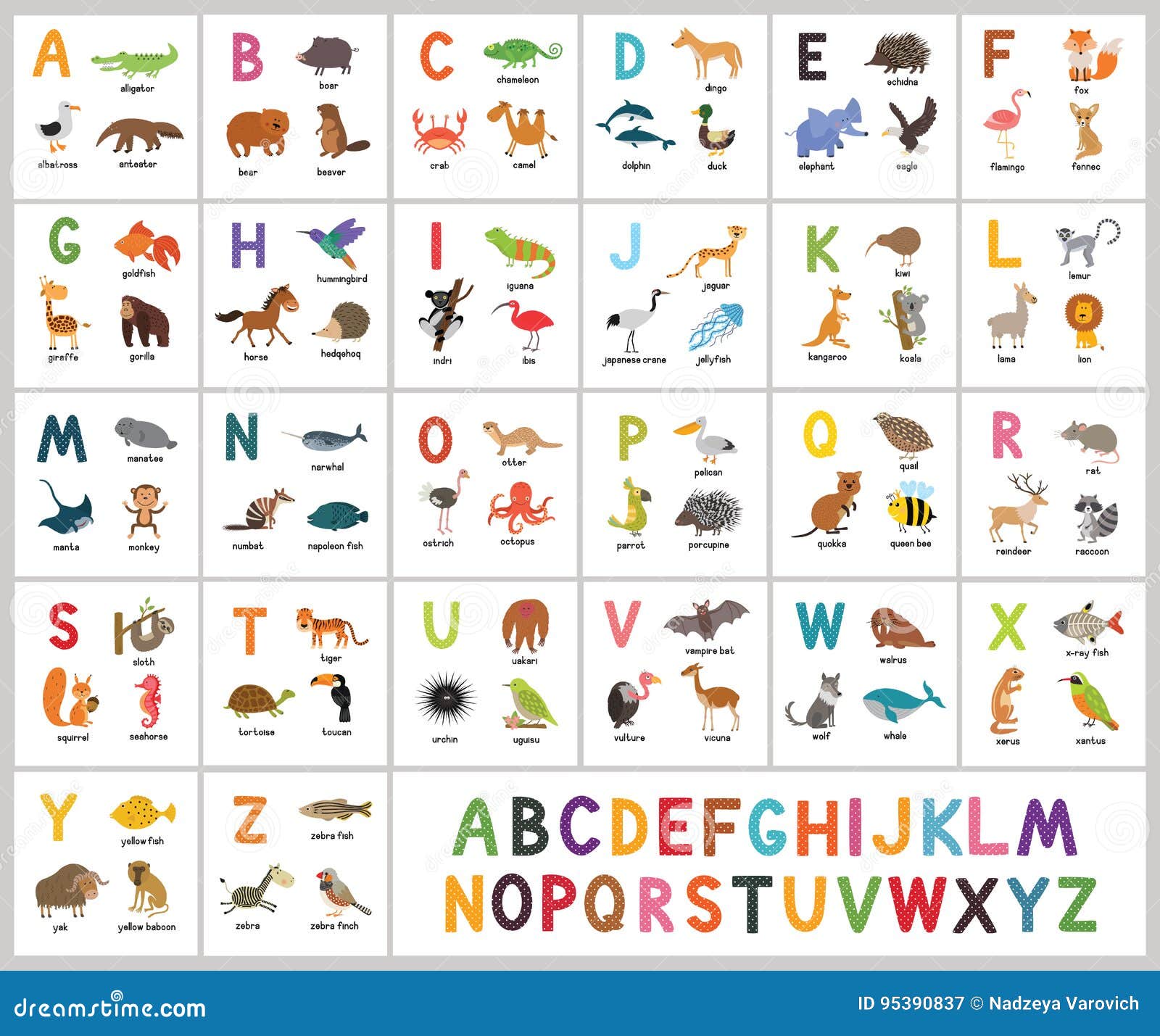 cute  zoo alphabet. abc animals