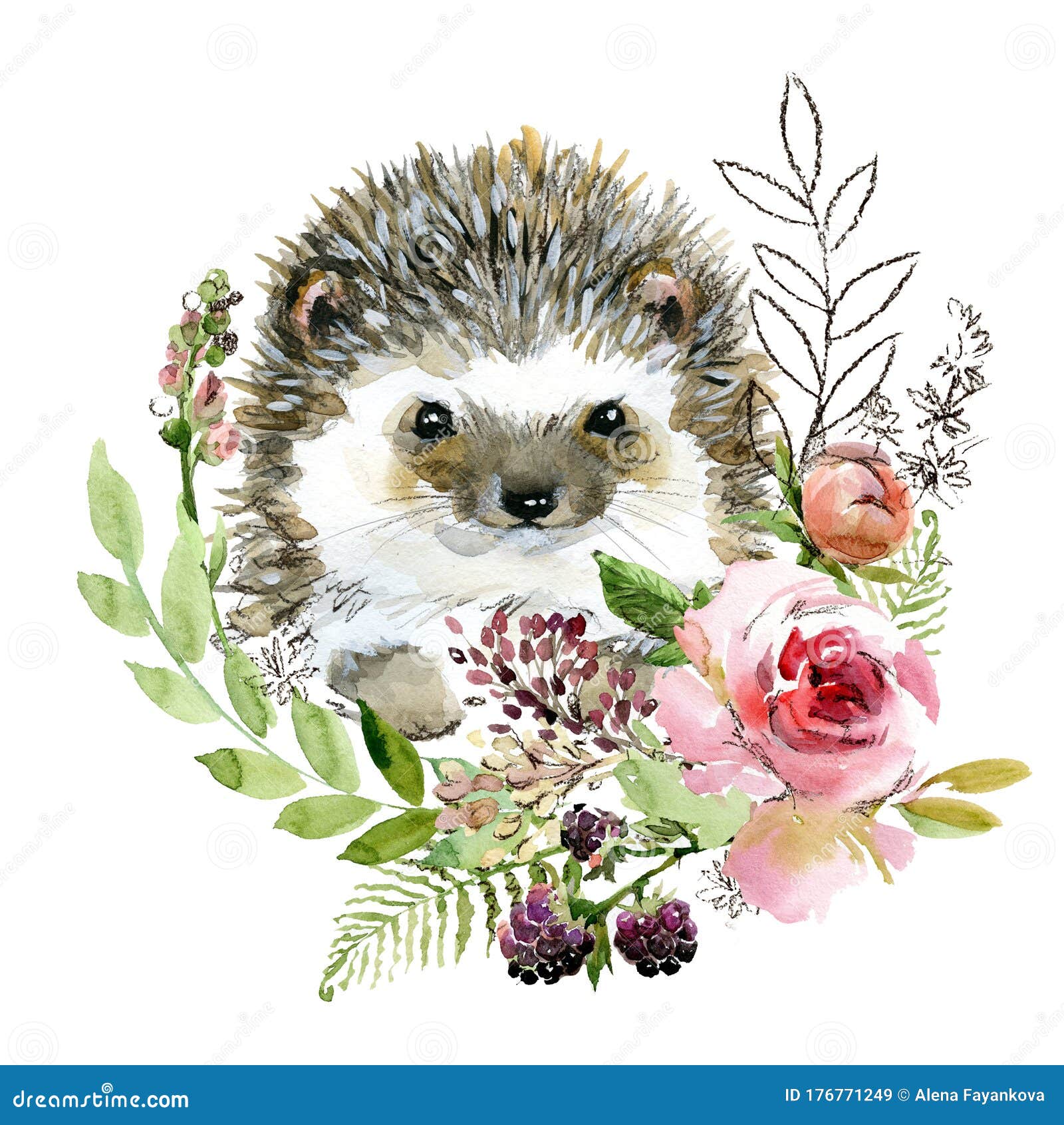 cute watercolor cartoon hedgehog. forest animal .