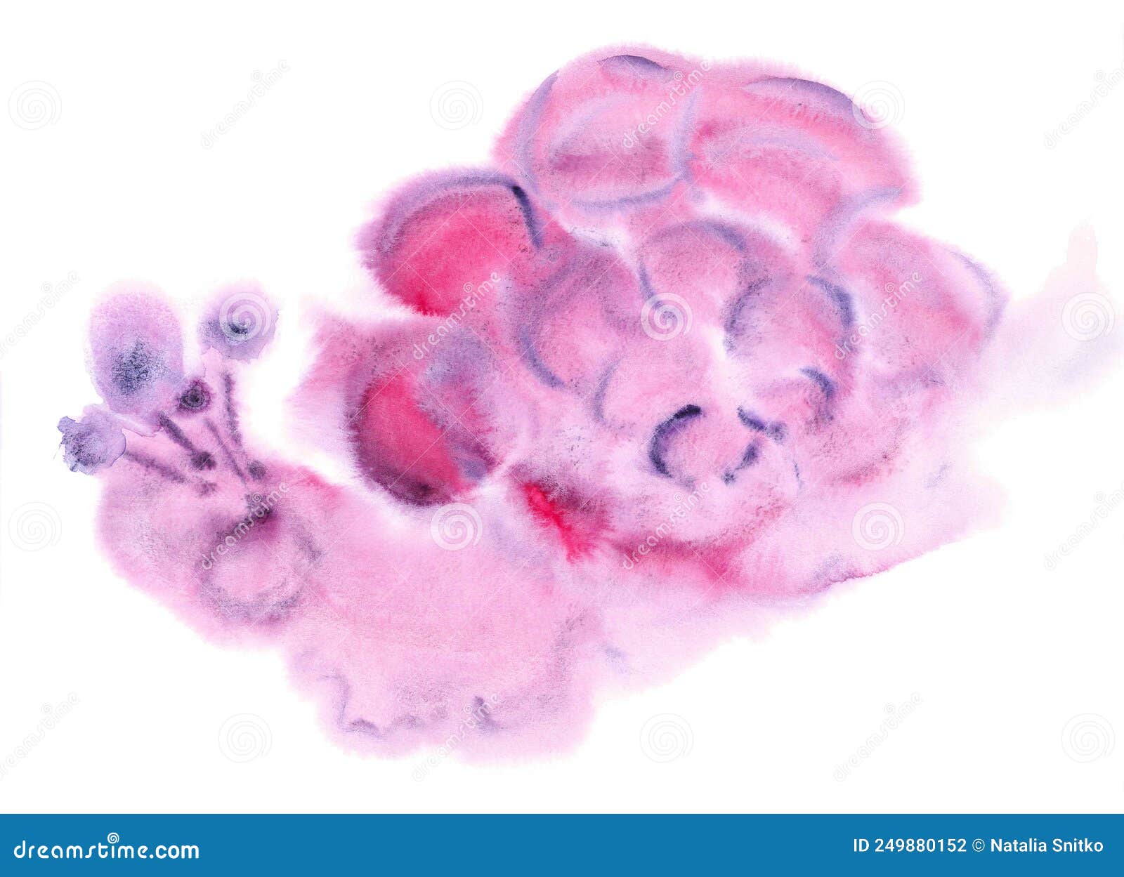 cute cartoon watercolor pink snail with a large volumetric bubble shell