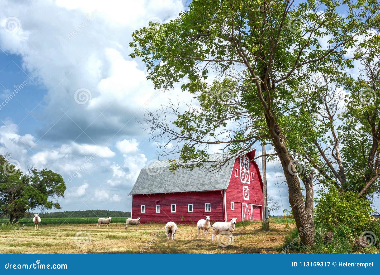 stable dairy cows farm free dwg ; floor plan and layout of