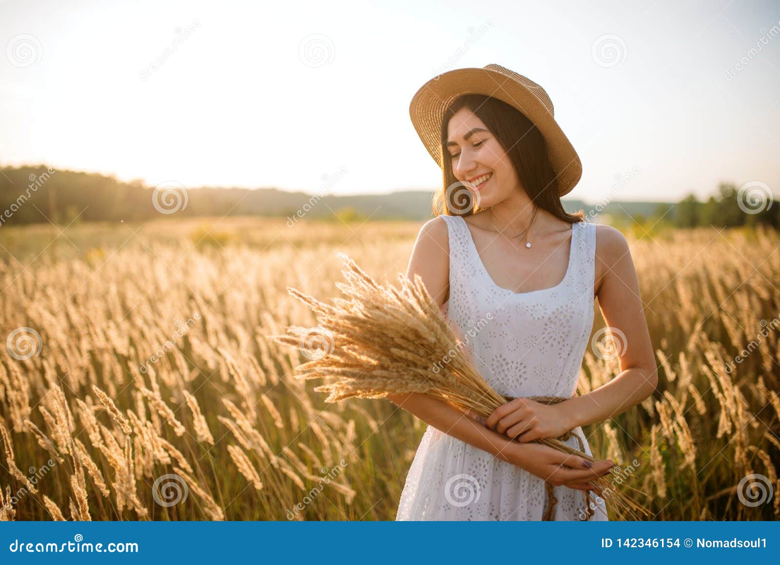 Cute Woman Harvests Wheat in the Field Stock Photo - Image of dress ...