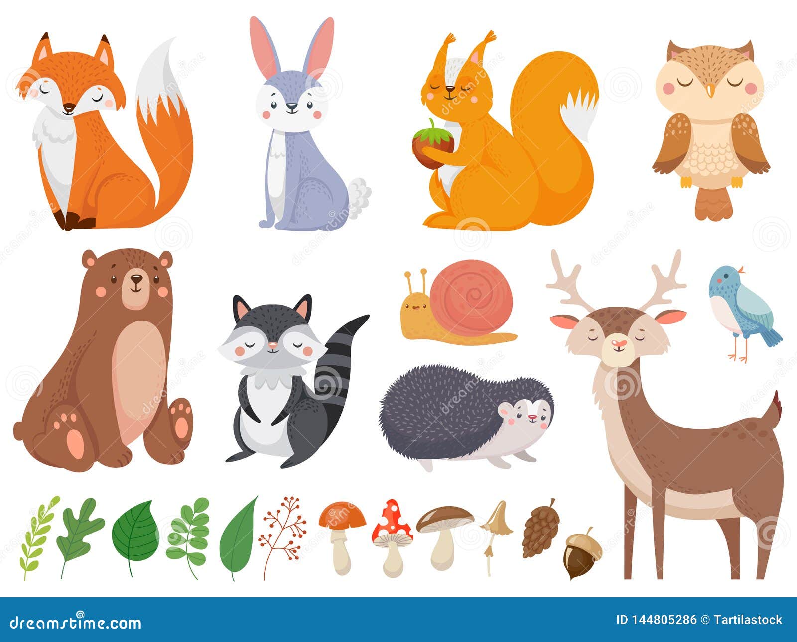 Cute Woodland Animals. Wild Animal, Forest Flora and Fauna Elements ...