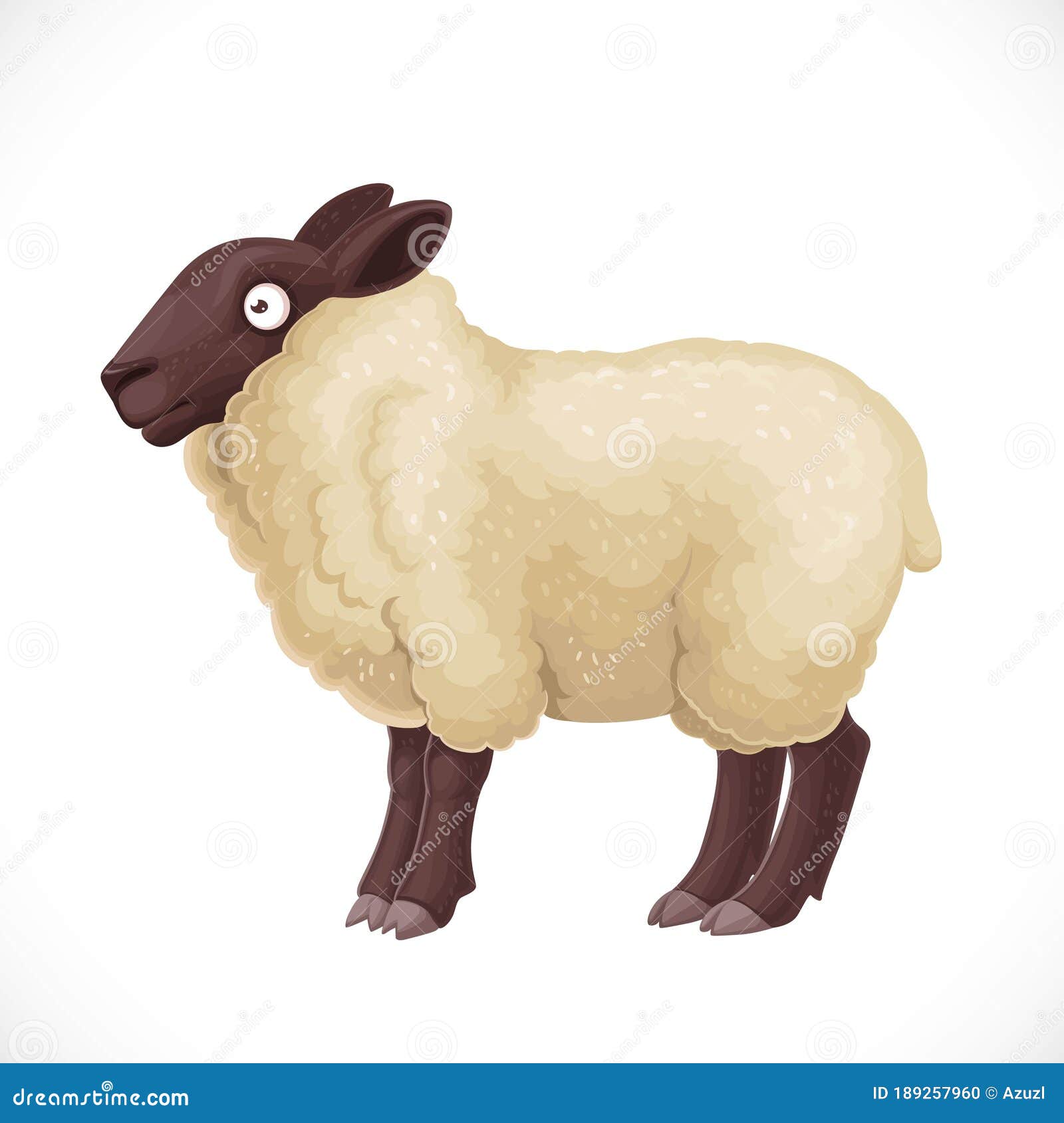 Cute Woolly Sheep With Light Wool Isolated On White Background Stock ...