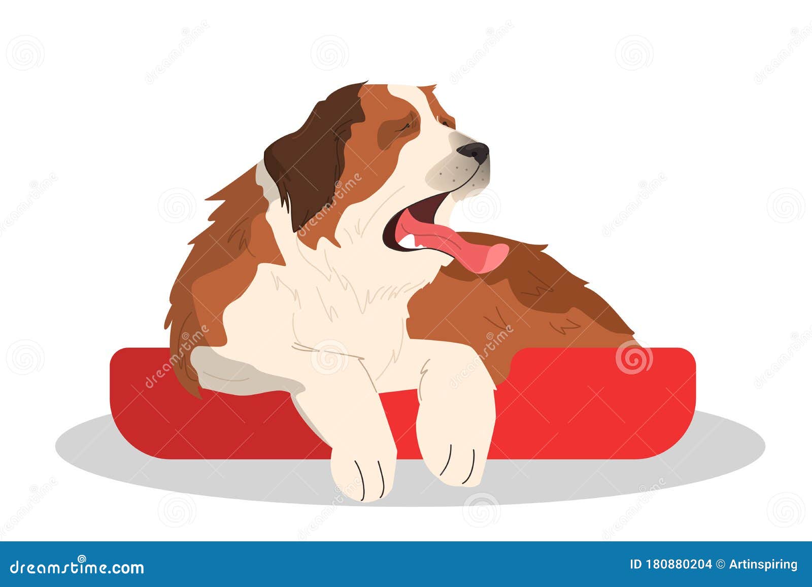 cute yawning sleepy dog. purebread saintbernar lying. funny