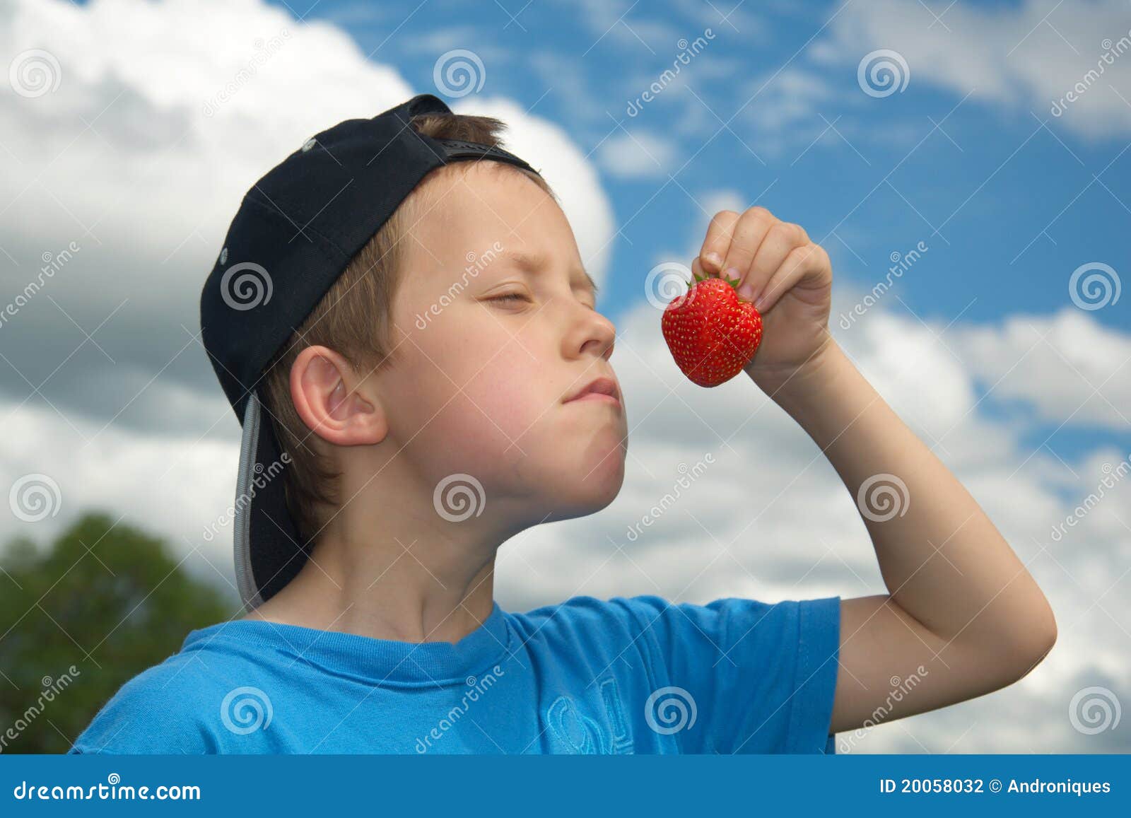 Cute Young Boy Smells Or Tastes Strawberry Stock Photography Image
