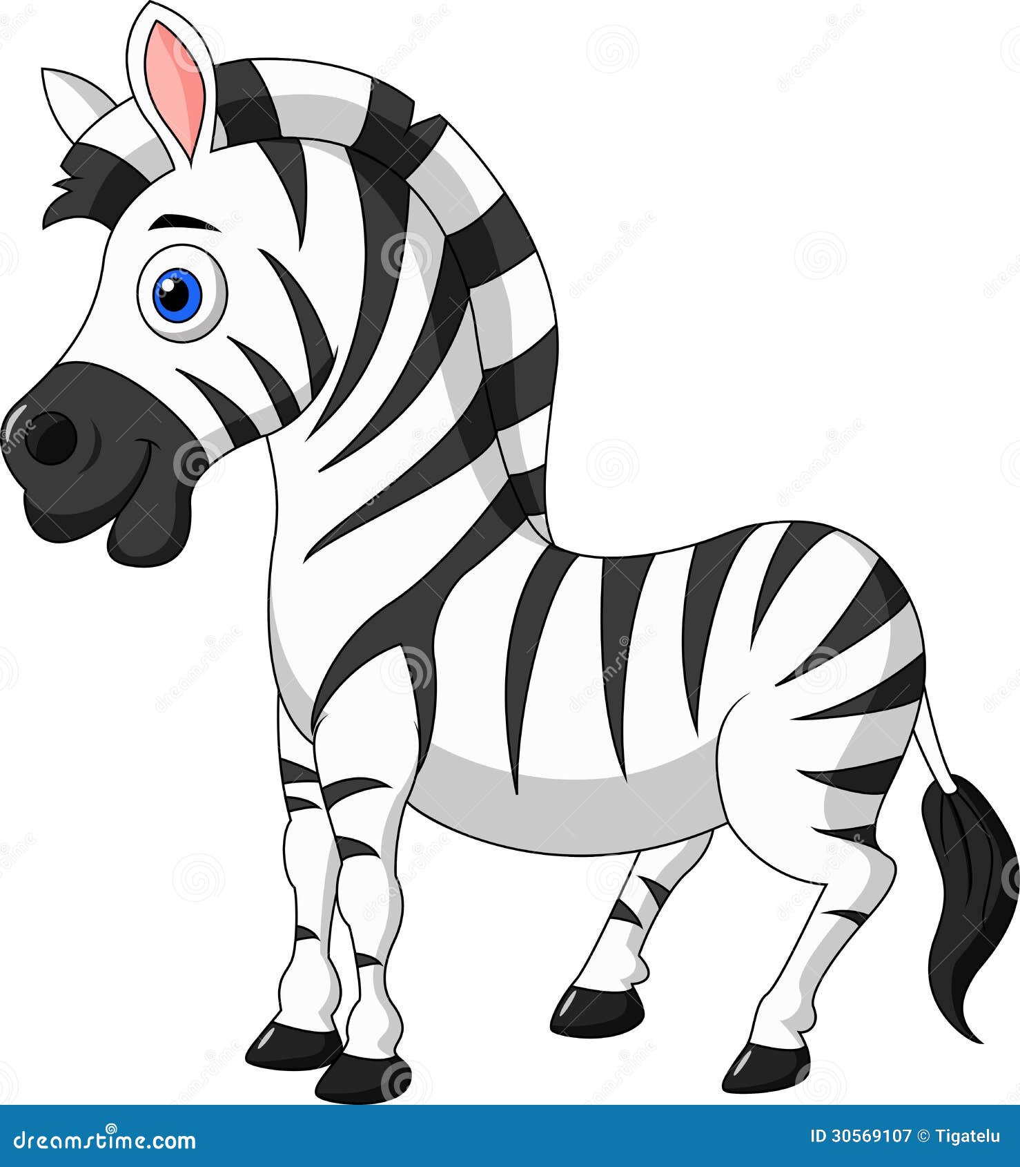 cute zebra clipart free - photo #28