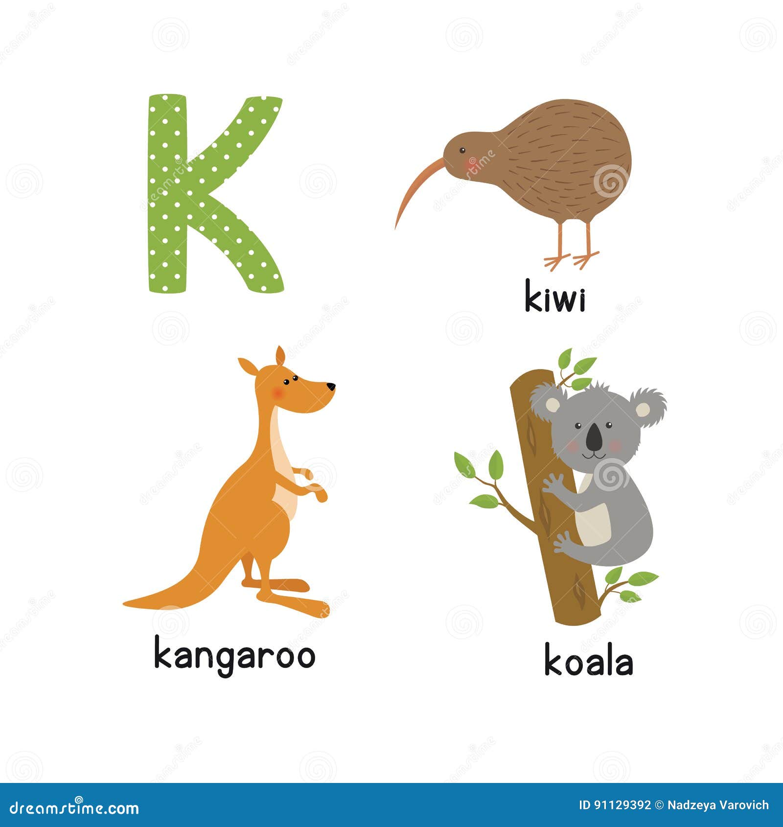 Cute Zoo Alphabet in Vector. K Letter Stock Vector - Illustration of ...