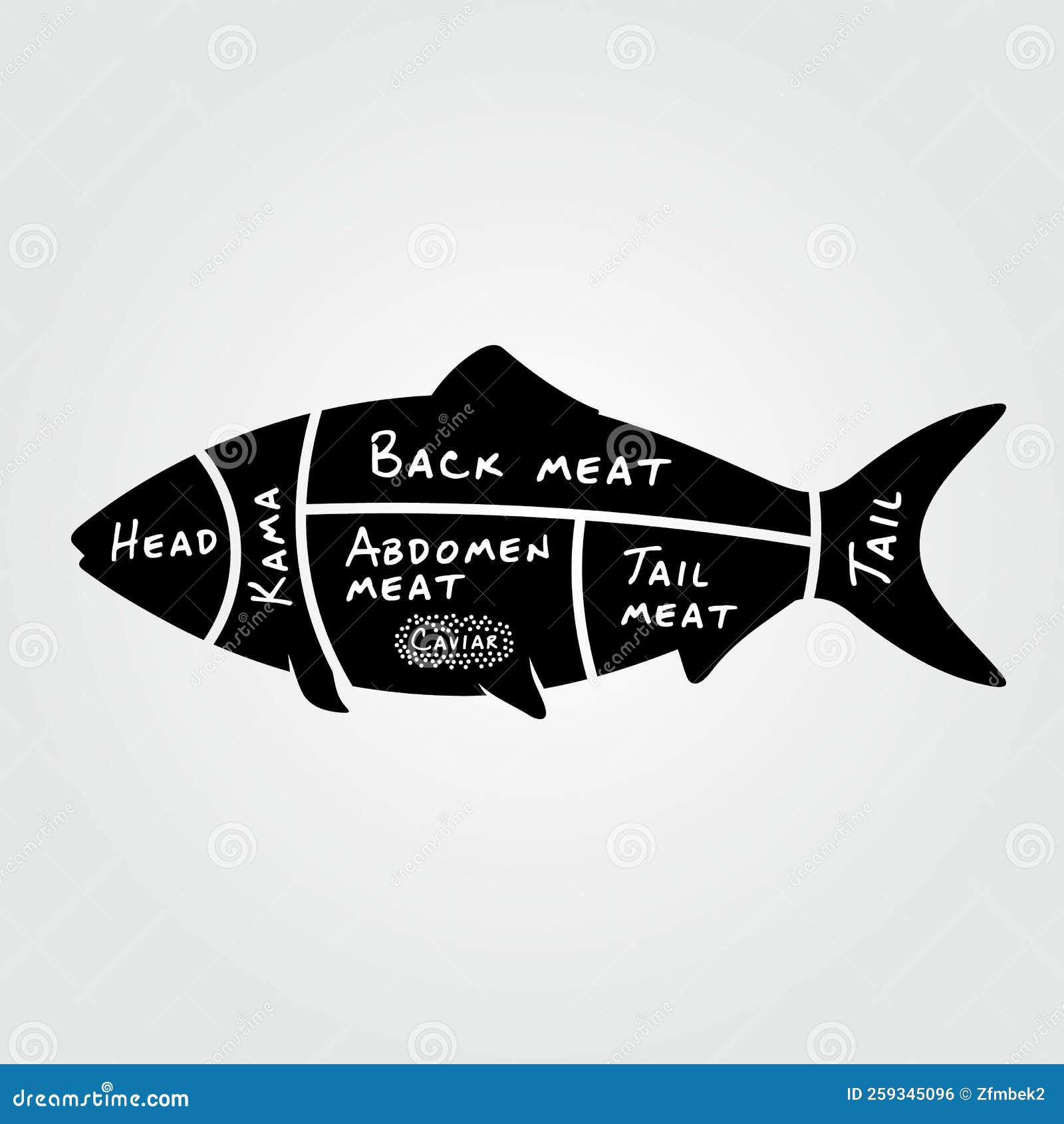 Cuts of Fish. Butchery Diagram with Fish Stock Vector Illustration of