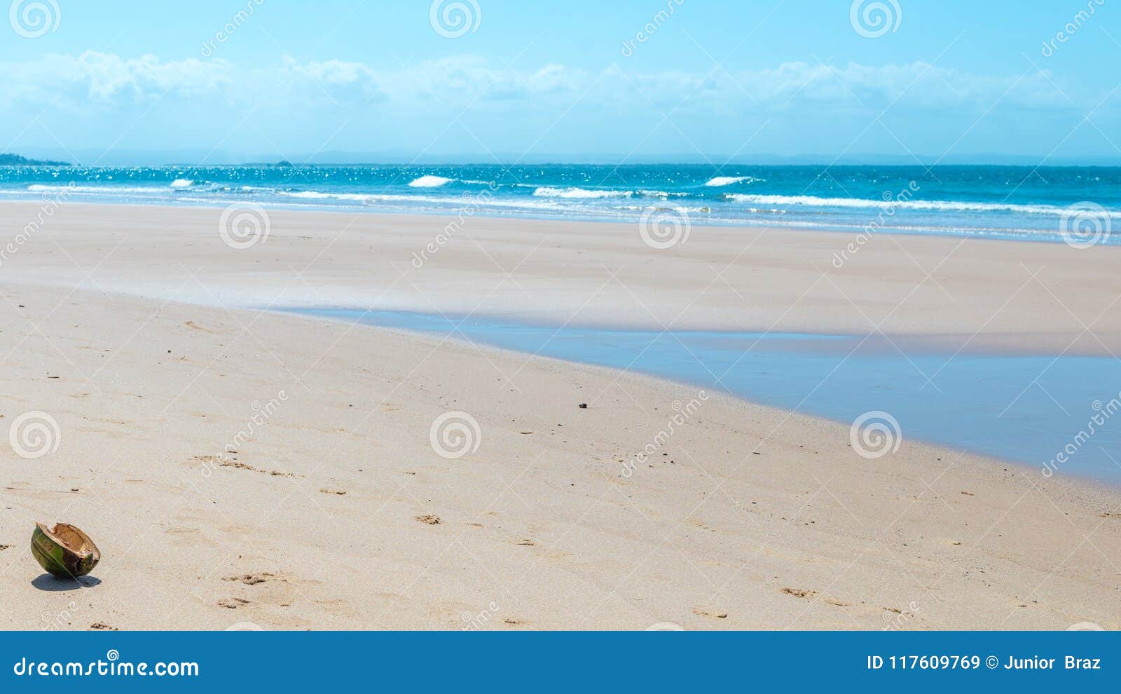 Cutted Dried Coconut on the Beach Sand Stock Image Image of fiber