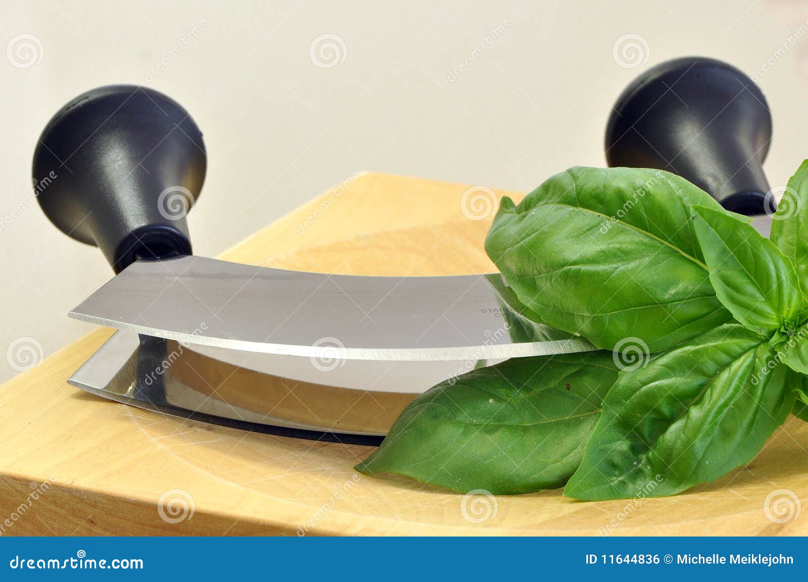 Cutting basil stock photo. Image of aromatic, houseplant 11644836