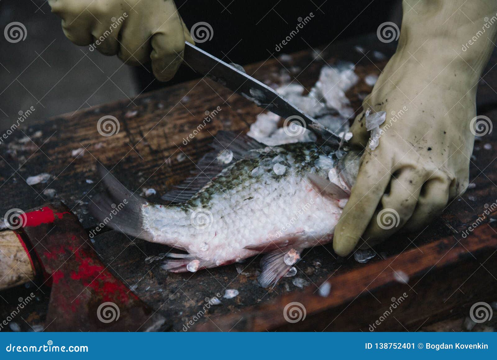 Cutting and Cleaning Fish with a Knife on the Cutting Table Stock Image