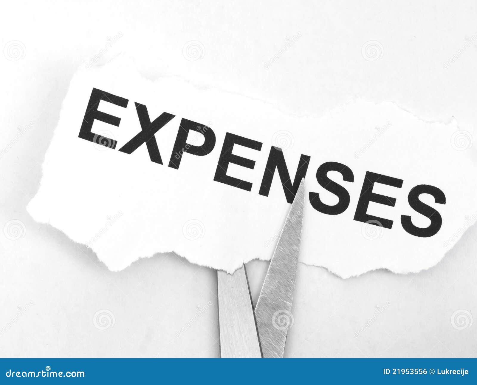 Cutting expenses concept stock photo. Image of plastic - 21953556