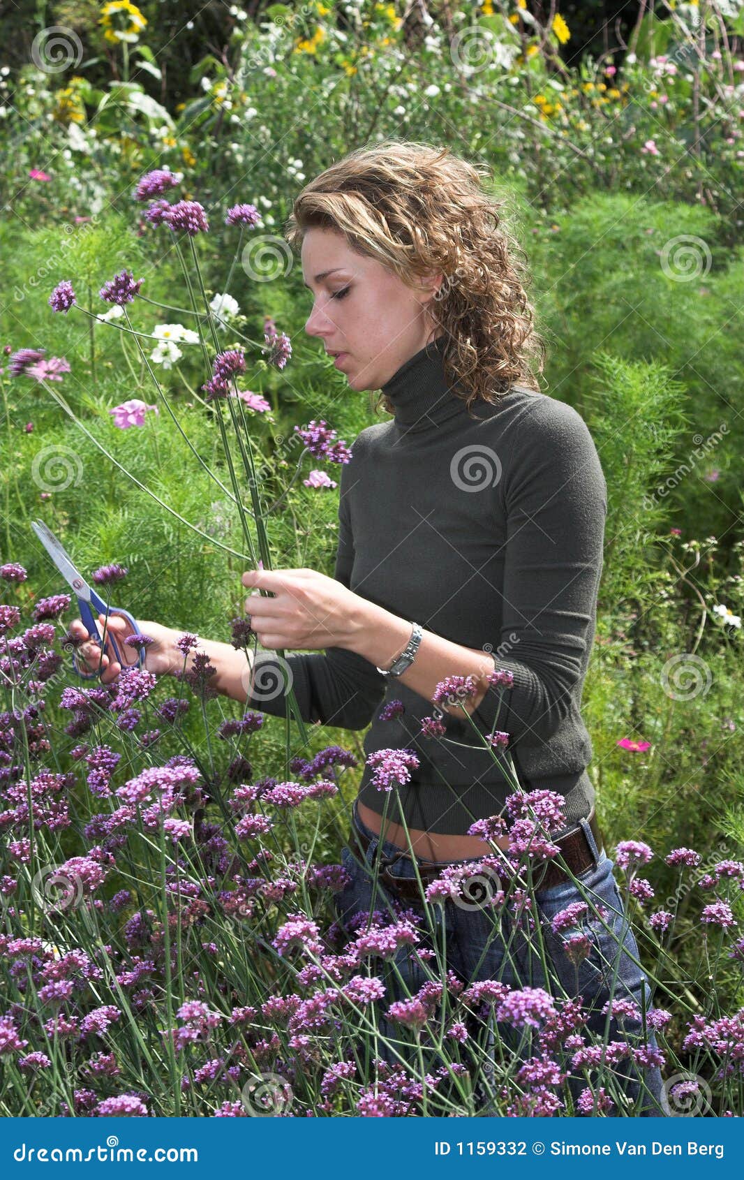 Cutting the flowers stock photo. Image of european, portrait 1159332