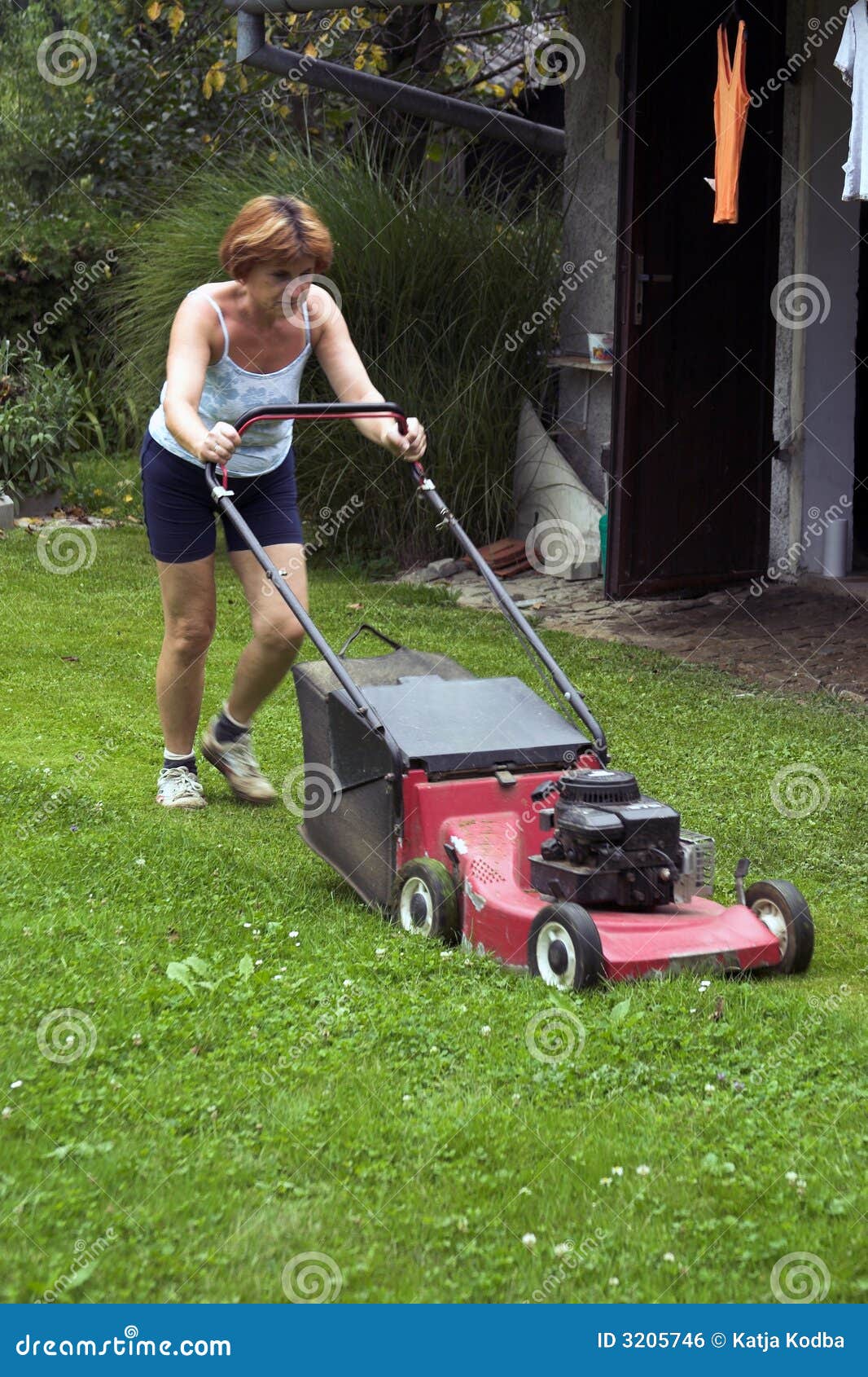 Cutting grass stock photo. Image of garden, pushing, occupation 3205746